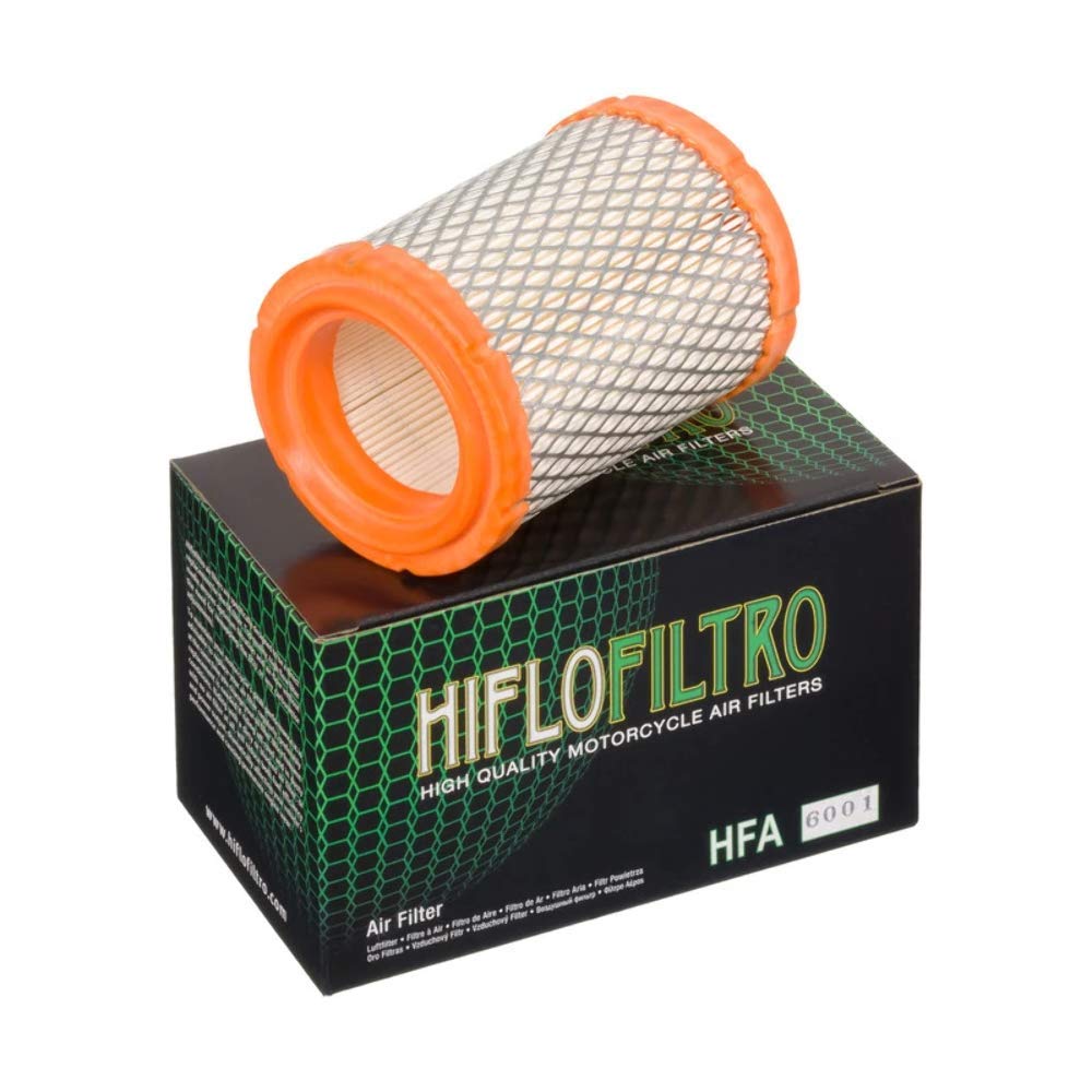 Hiflofiltro HFA6001 Premium OE Replacement Air Filter