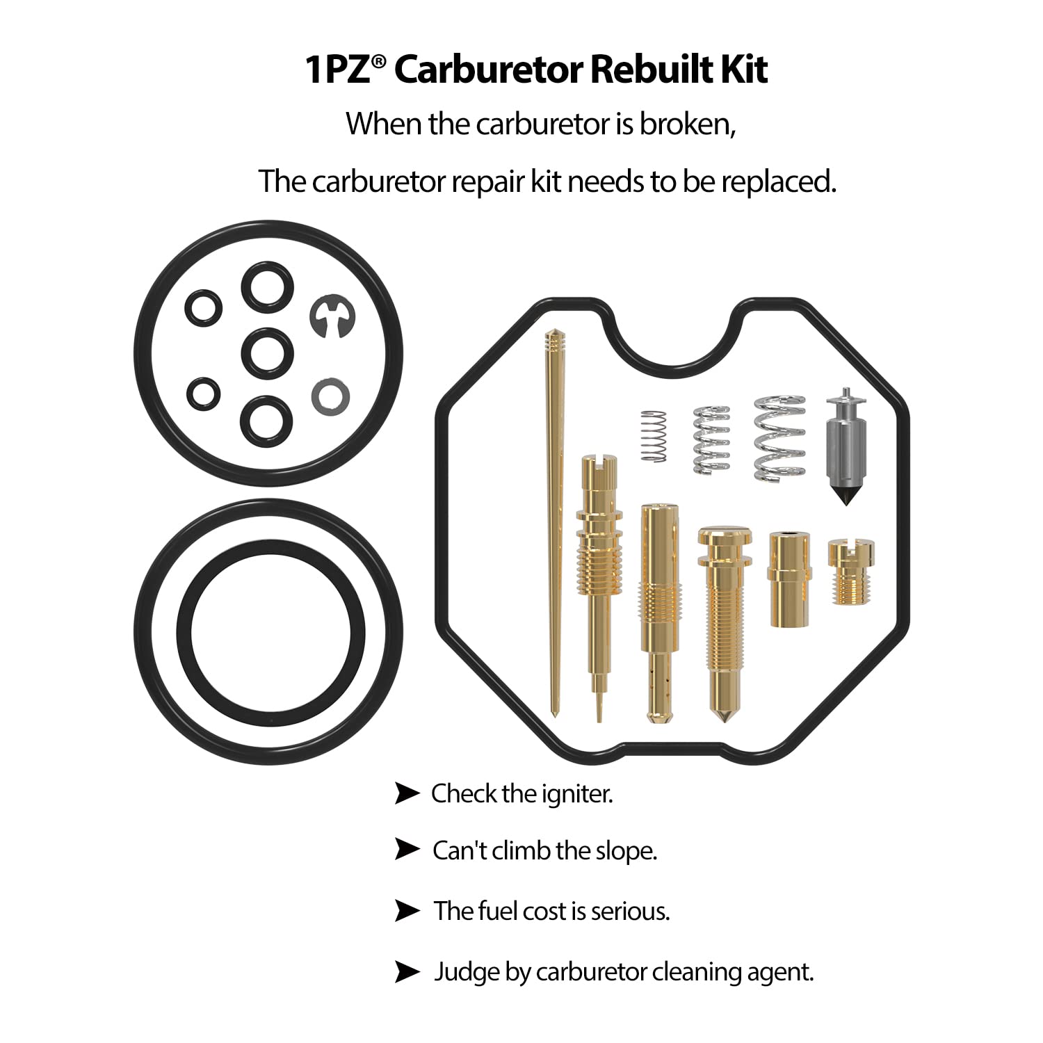 1PZ Carburetor Rebuild Kit for Honda Recon TRX 250 TRX250ES TRX250EX TRX250TE TRX250TM 1997-2005