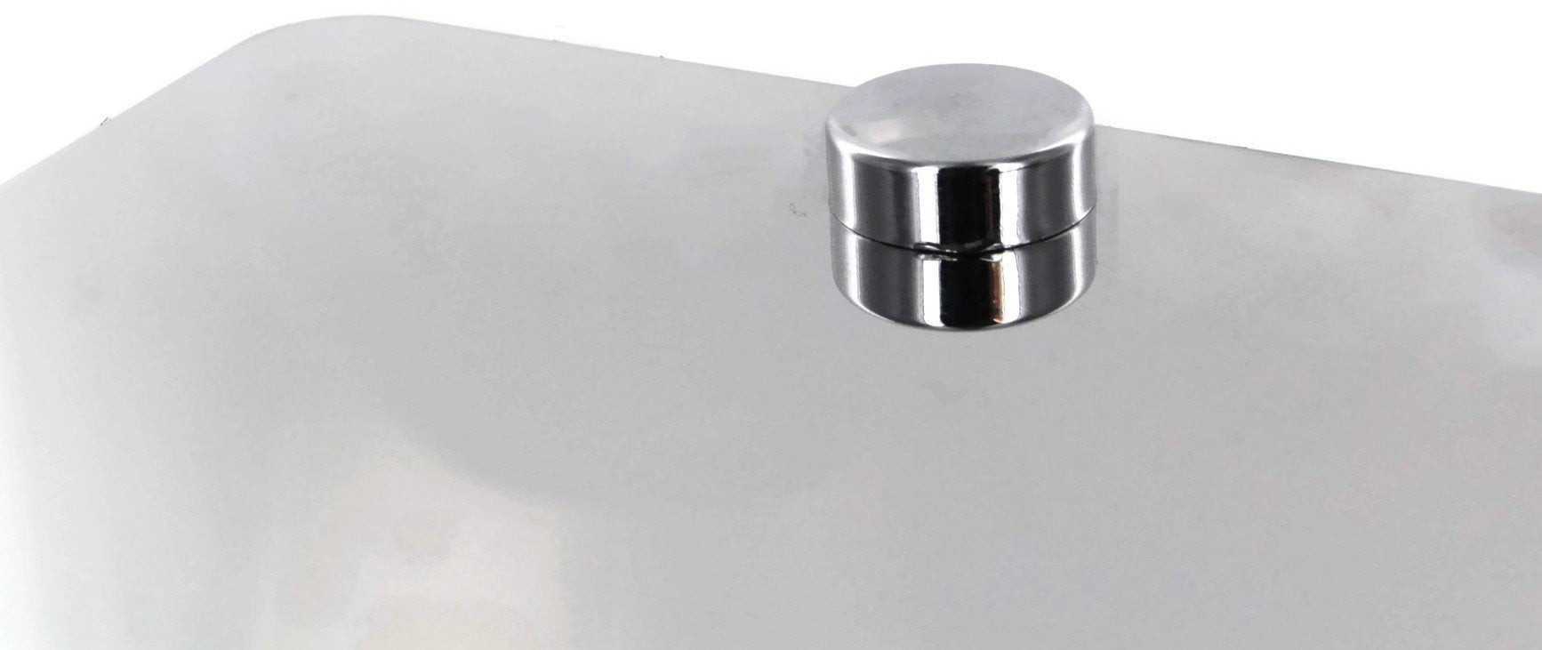 Eurosport Daytona- Compatible With -, Ford Mustang - Stainless Steel License Plate