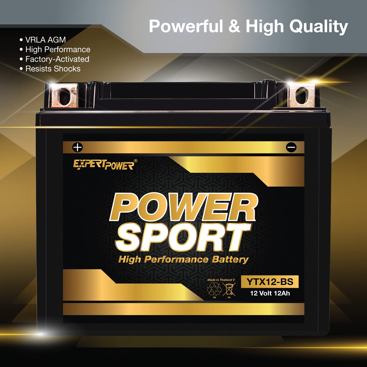 Ytx12-Bs Replacment Battery Maintenance Free Battery Powersport Motorcycle Atv Scooter Snowmobile Replace 2003 Honda Trx250 Recon, Es 250 Cc Factory Activated Expertpower®