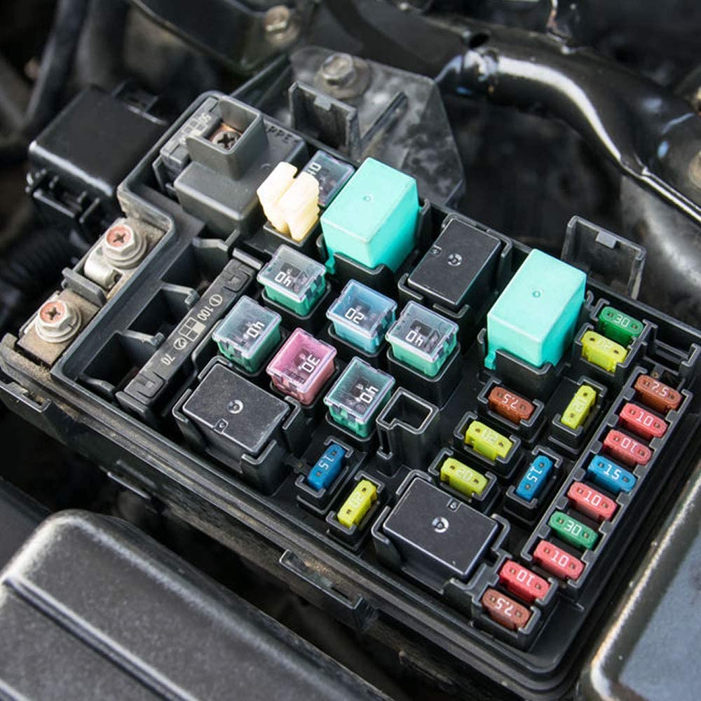 6 Pieces Tall Standard Fuses 20 Amp Jcase Box Shaped Fuse Compatible For Ford Chevy Gm Nissan Toyota Pickup Trucks Cars Suv