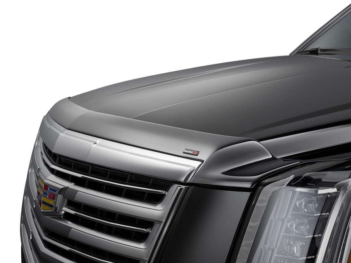 WeatherTech Hood Protector Low-Profile Hood Shield for Ford F-150 (55194) Dark Smoke