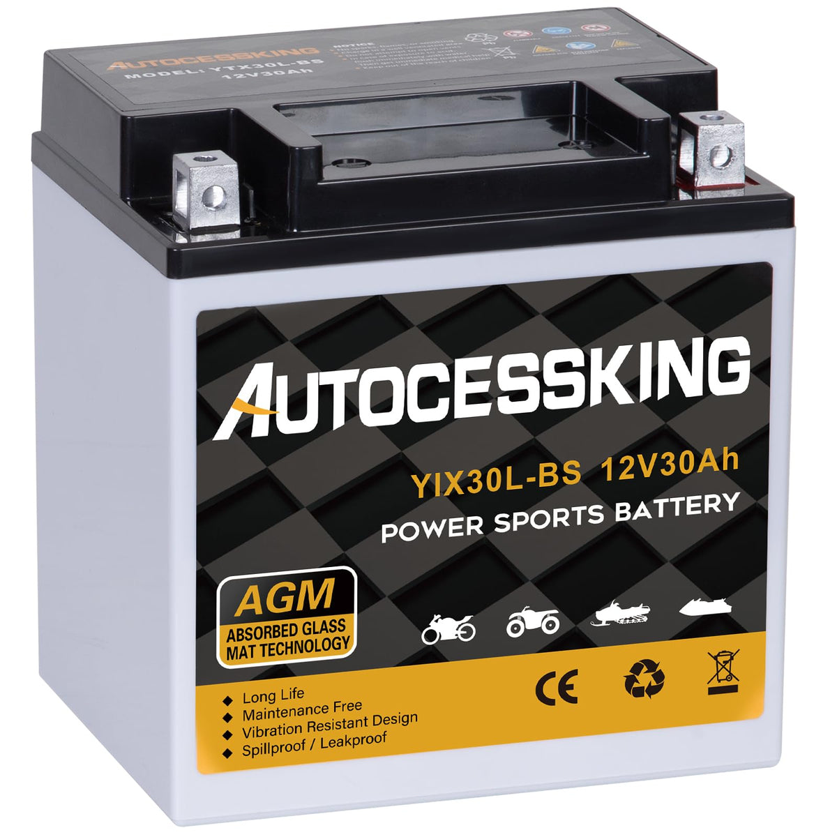 Autocessking Ytx30L-Bs Motorcycle Battery, 12V 30Ah Rechargeable Maintenance Free Sealed Agm Battery Powersport Replacement Batt