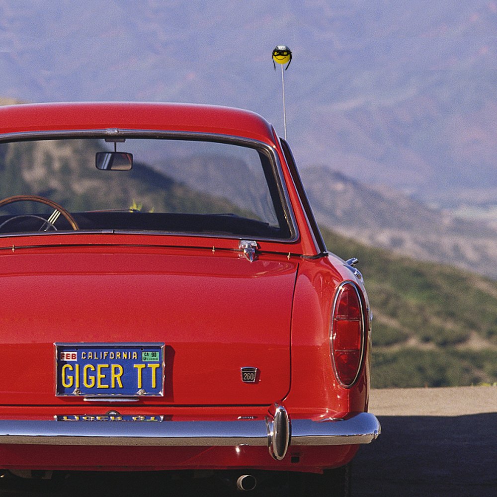 Ygmoner Cute Pilot Foam Ball Car Antenna Toppers Exterior Decorations (Pilot)