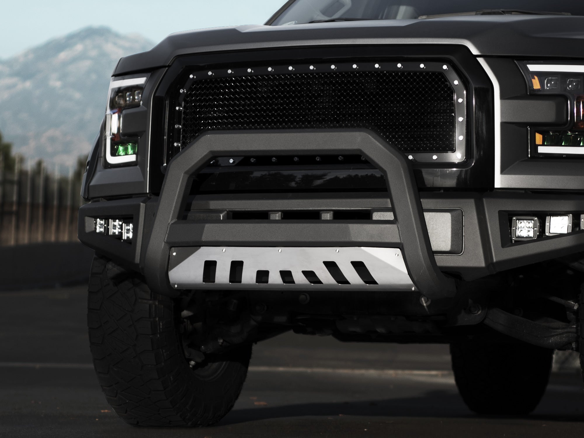 Armordillo 20002004 Ford Excursion AR Series Bull Bar  Matte Black W/Aluminum Skid Plate