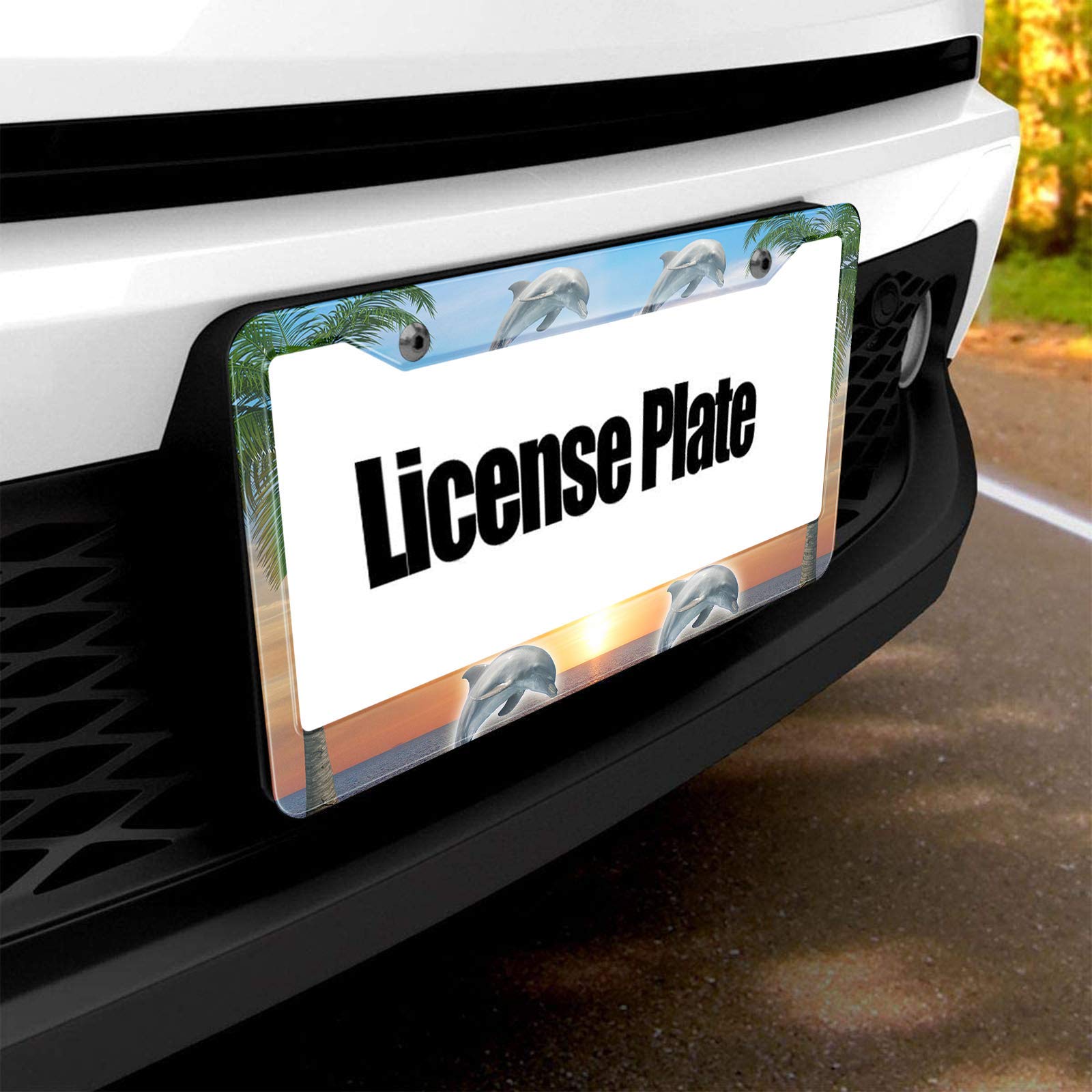 HOSNYE Jumping in The Sunset by The Sea License Plate Frame Metal License Plate Cover Front Plates Frames Car Tag Frame for Wome