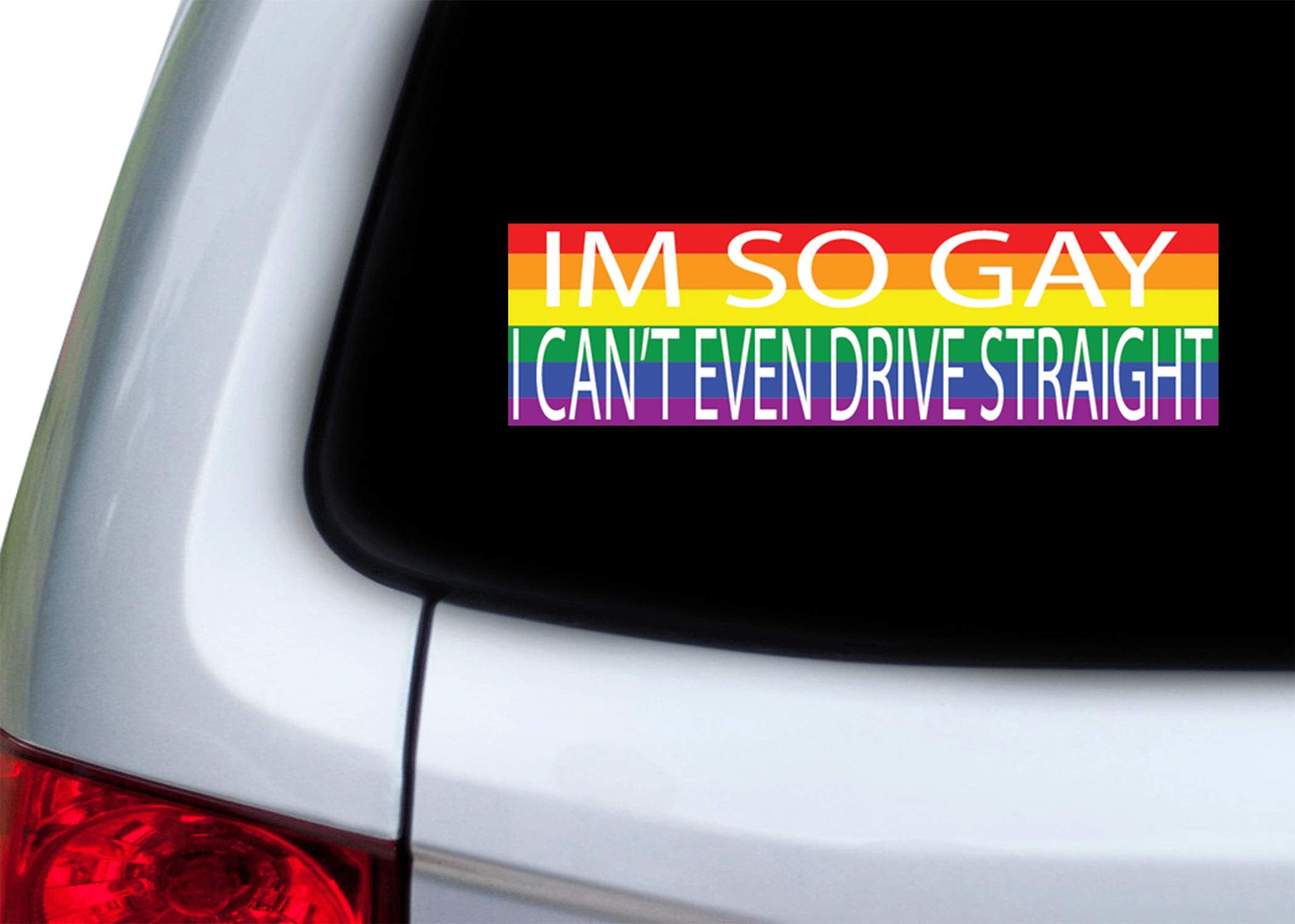 Rogue River Tactical Rainbow LGBT Bumper Sticker - Funny Vinyl Auto Decal, Model RR-D1163, Large, Window/Car/Truck/Boat