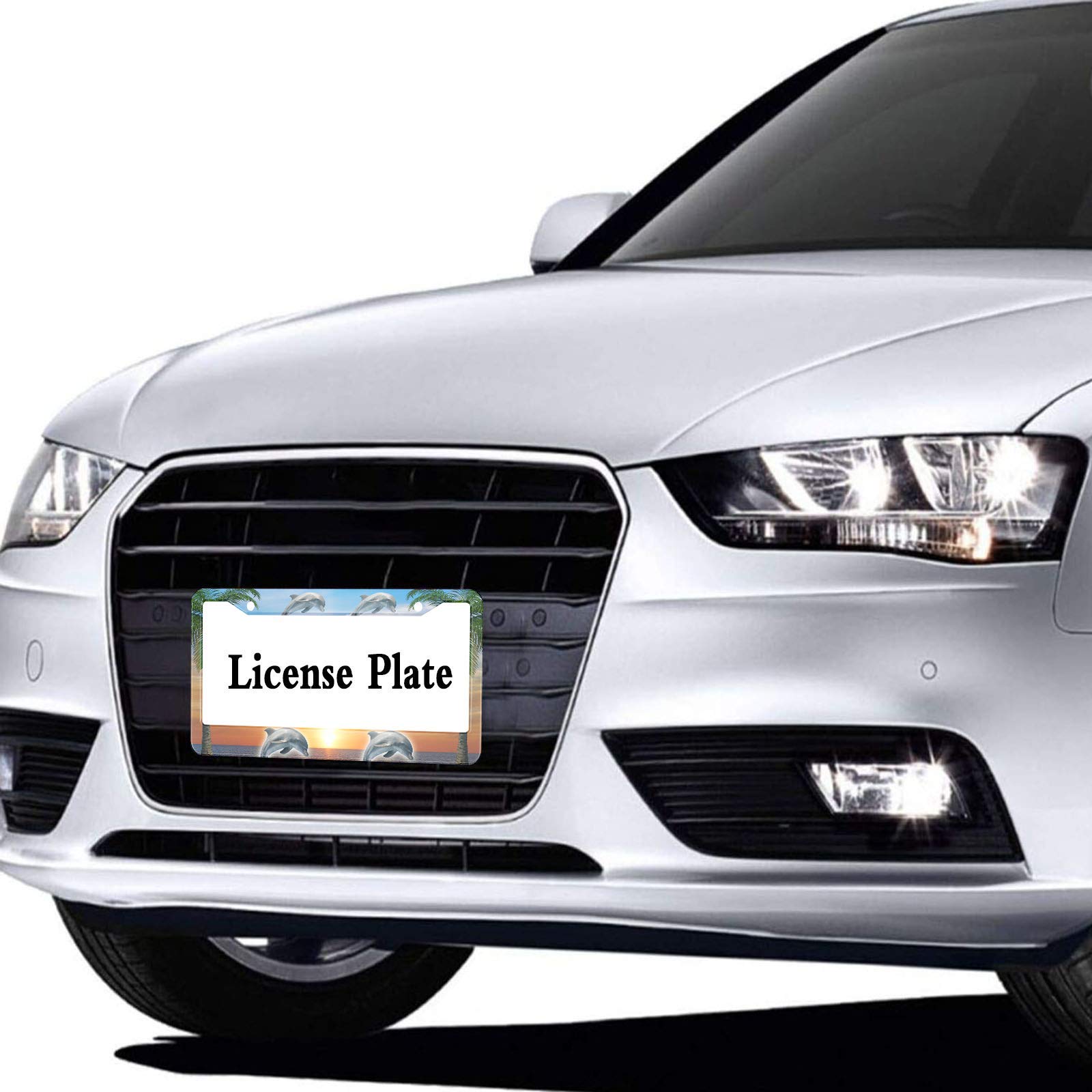 HOSNYE Jumping in The Sunset by The Sea License Plate Frame Metal License Plate Cover Front Plates Frames Car Tag Frame for Wome