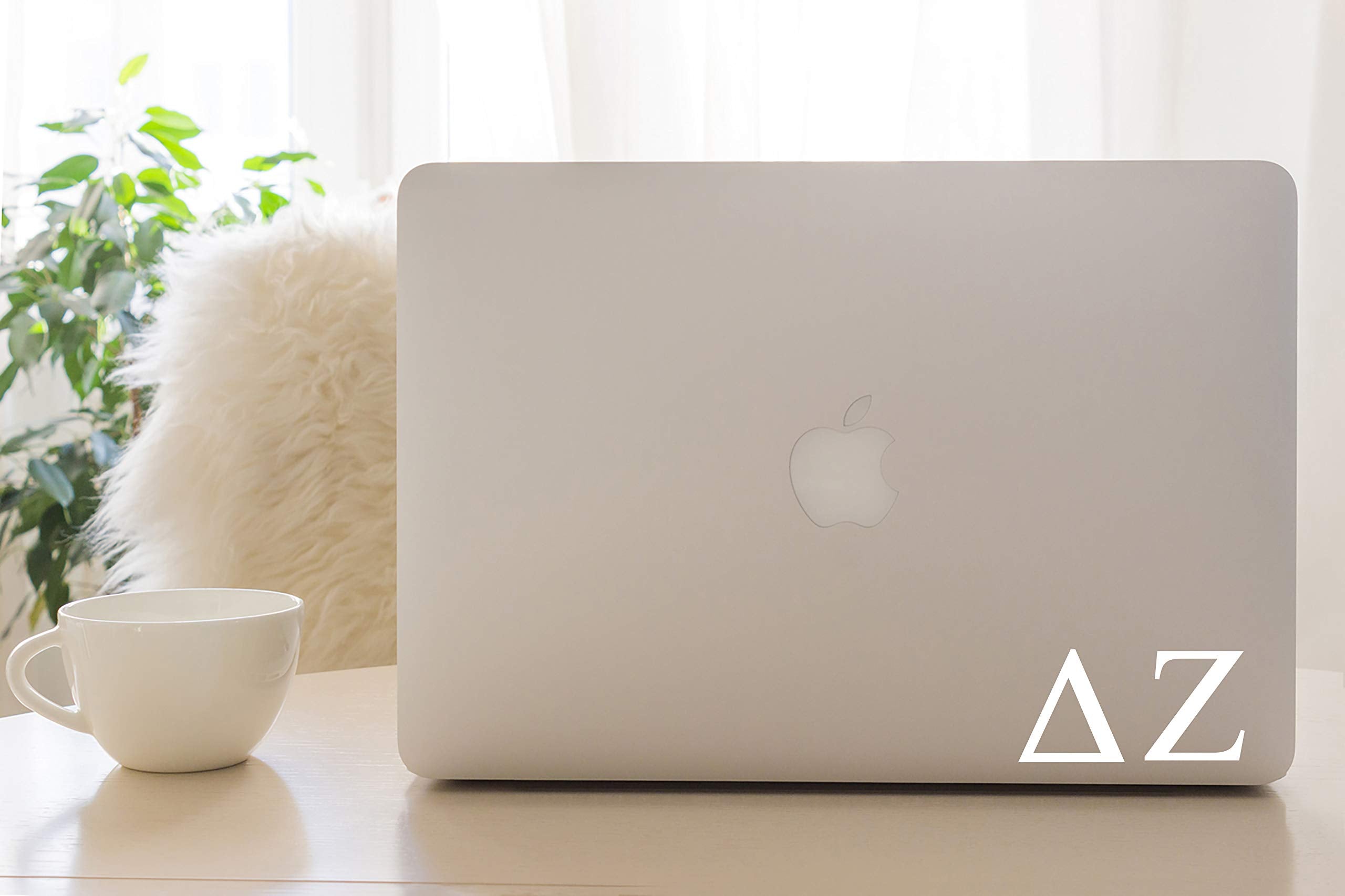 Pro-Graphx Delta Zeta Greek Sorority Sticker Decal, 2.5 Inches Tall, White