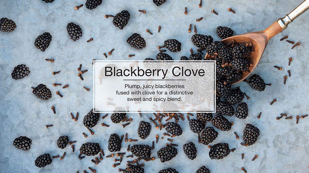 LITTLE TREES Blackberry Clove Air Fresheners - 24 Hanging Car & Home Fresheners, Long Lasting Scent, 4 Count (Pack of 6)