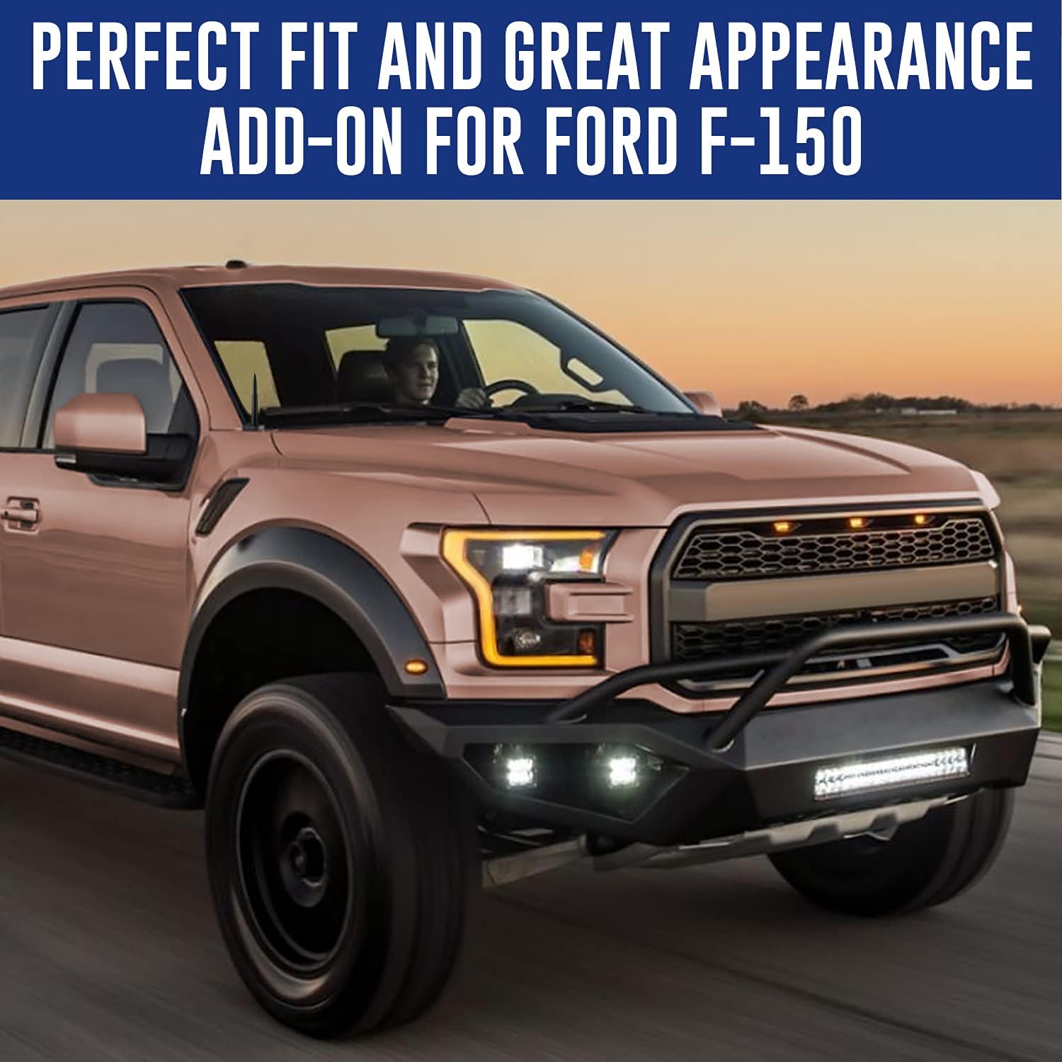 TN TrunkNets Bullet Antenna for Ford F150 (2009-2024) - 4.25 Durable Black Car Wash-Proof FM AM Accessory - 30 Caliber Design