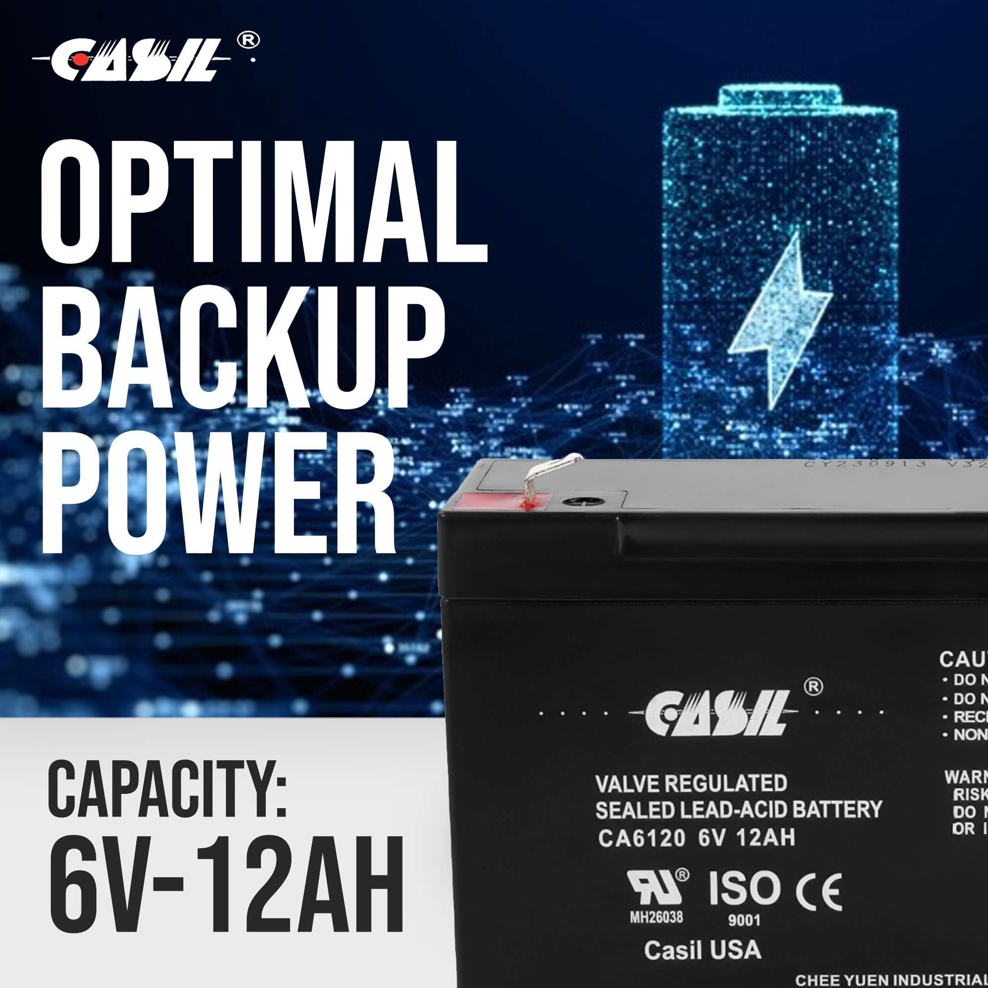 Casil 6 Volt 12 Amp Rechargeable Sealed Lead Acid 6V 12Ah Battery F2 Terminals 2 Pack