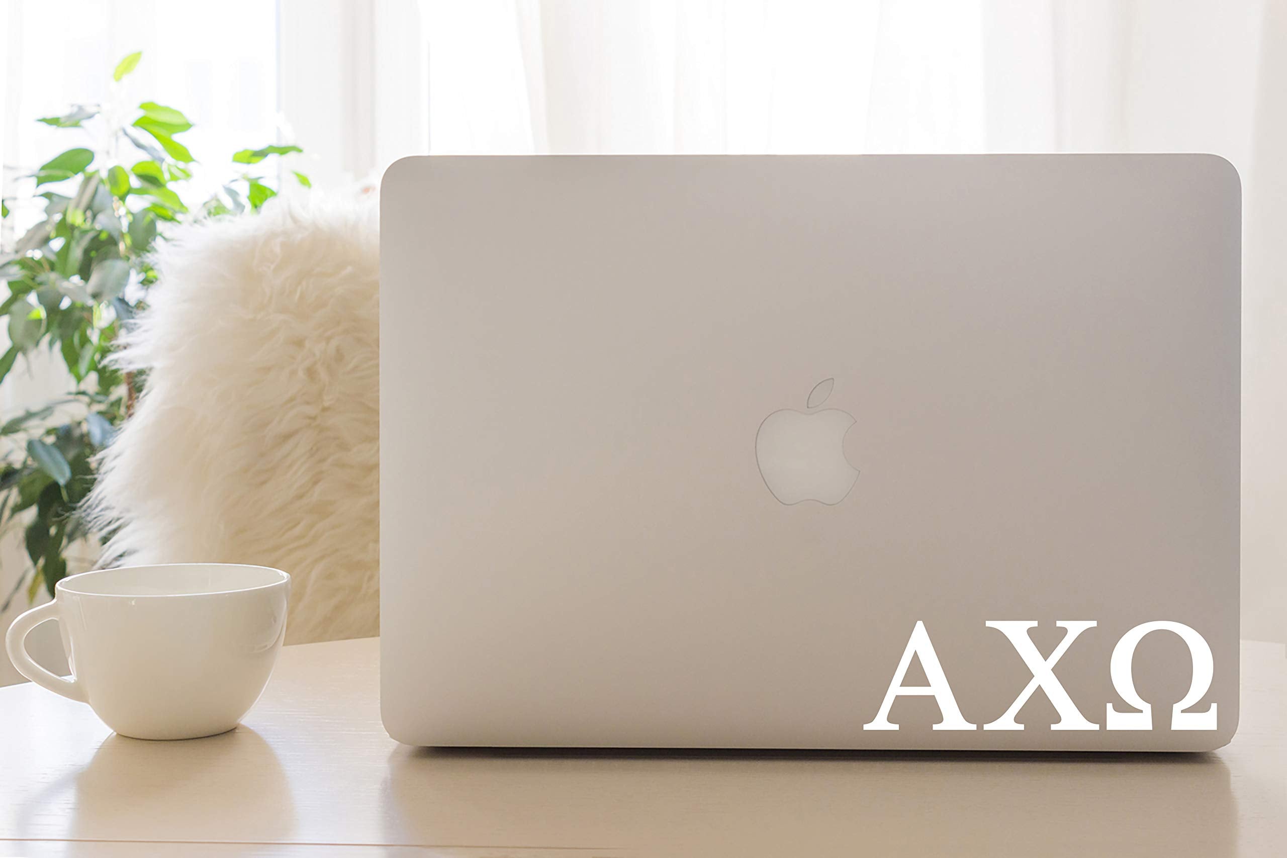 Pro-Graphx Alpha Chi Omega Greek Sorority Sticker Decal, 2.5 Inches Tall, White
