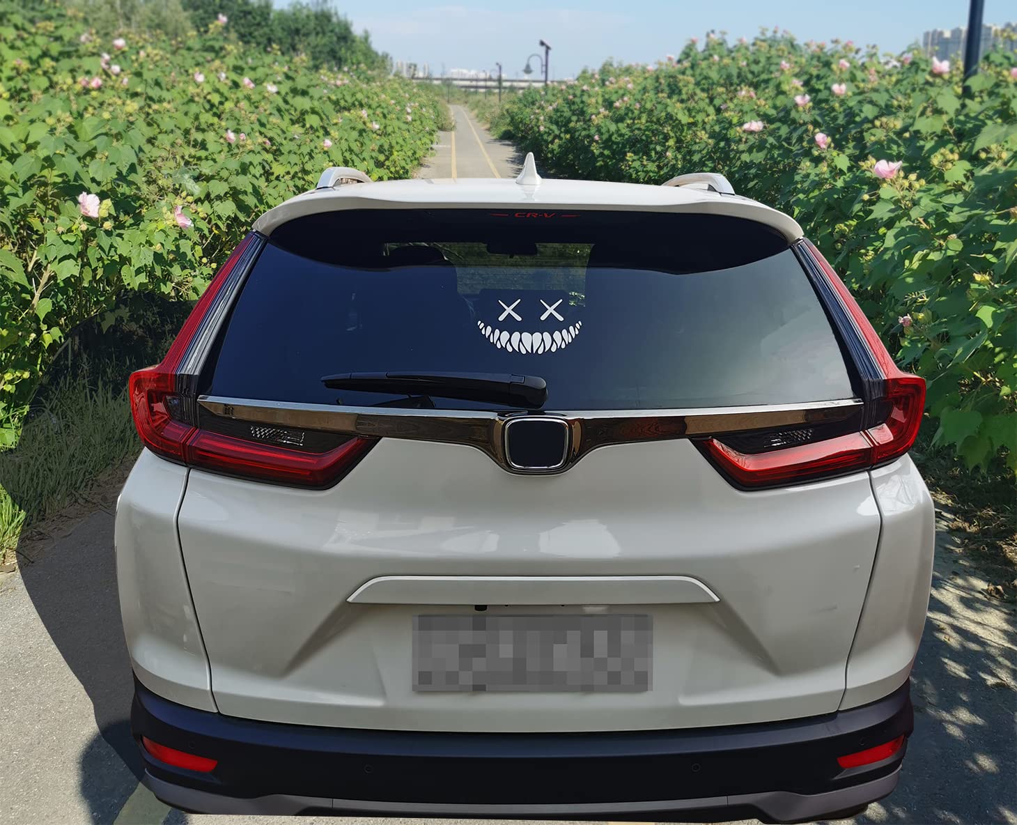 Reflective Smile Demon Car Sticker,Funny Cool Die Cut Waterproof Car Window Decal