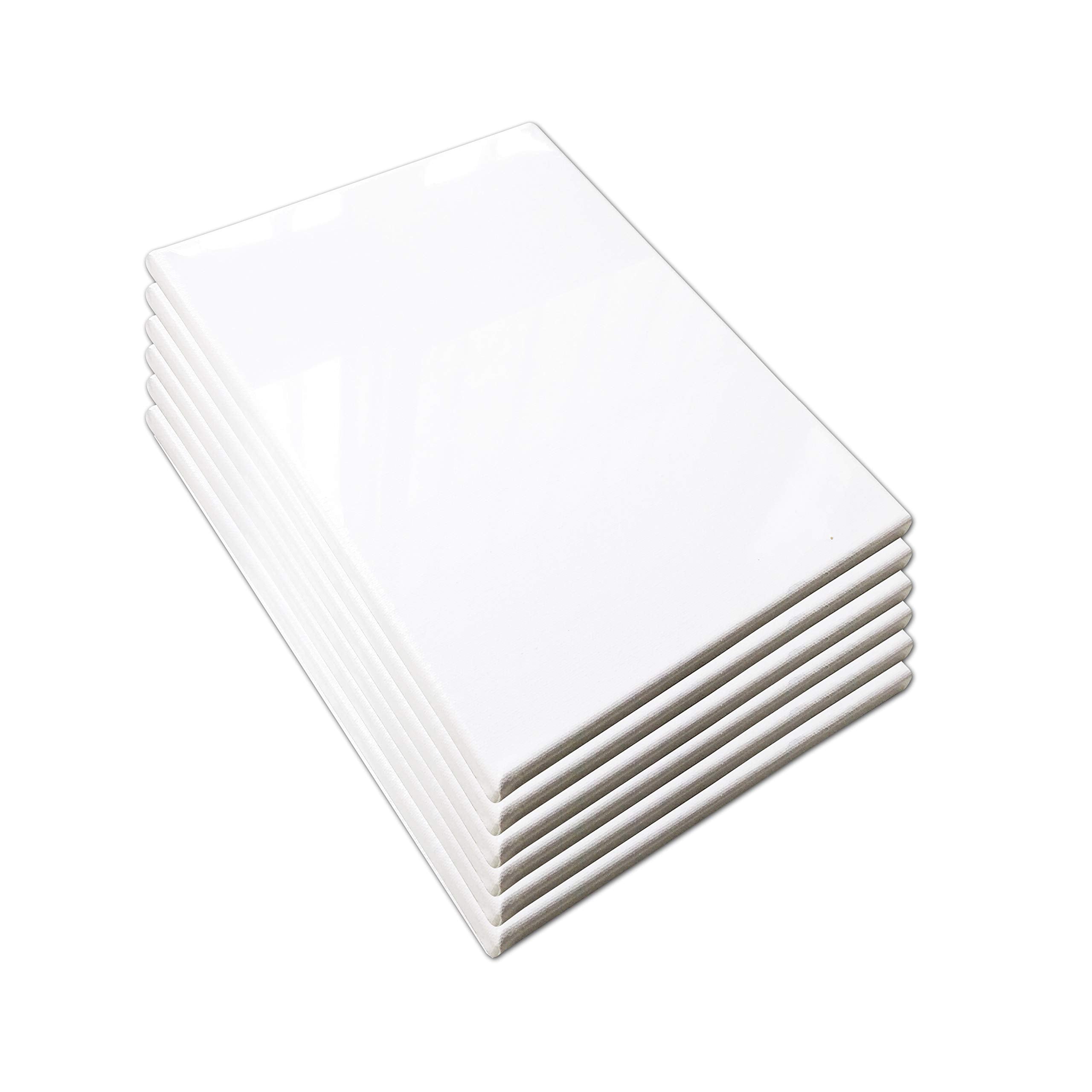 Lwr Crafts Stretched Canvas 8 X 10 Pack Of 6