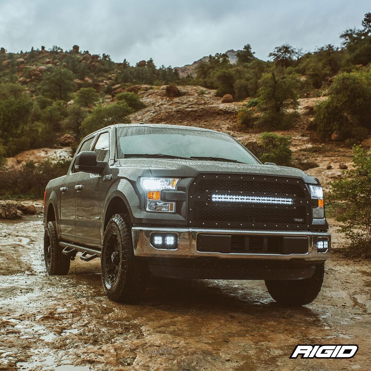 Rigid Industries 40181 Rocker Switch