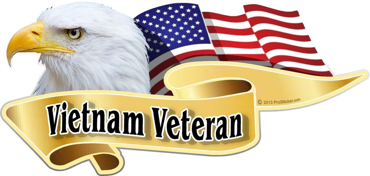 ProSticker 904 (One) 3' X 6' American Pride Series Vietnam Veteran Bald Eagle Decal Sticker