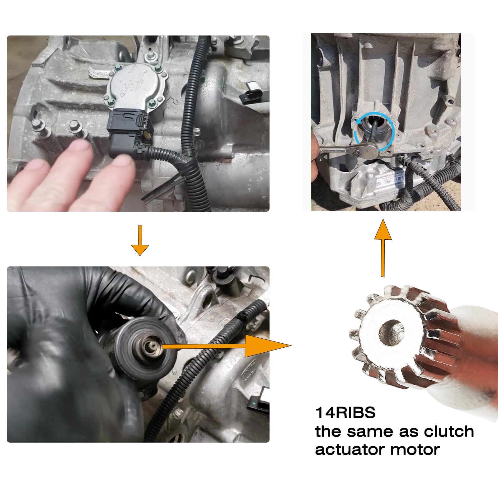 ReluxGo Dual Clutch Transmission Tool for Ford DPS6/6DCT250, 1/4" Drive, Alloy Steel, Silver, Model BSJ02302