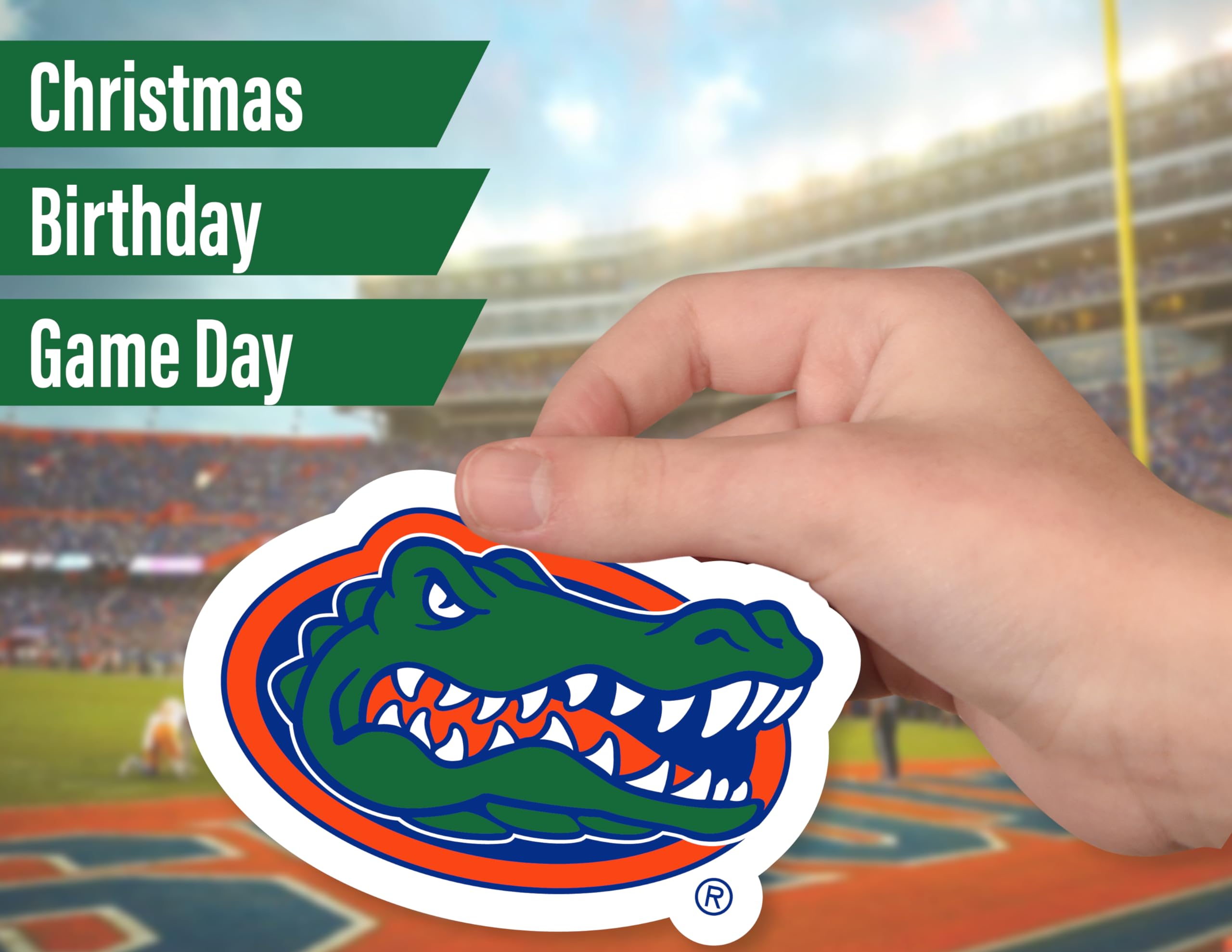 Florida Gators Stickers (14 Stickers) 2 Large 5'' For Car Windows 10 Medium 2.5'' For Water Bottles Laptops Phones 2 Mini Keyboa