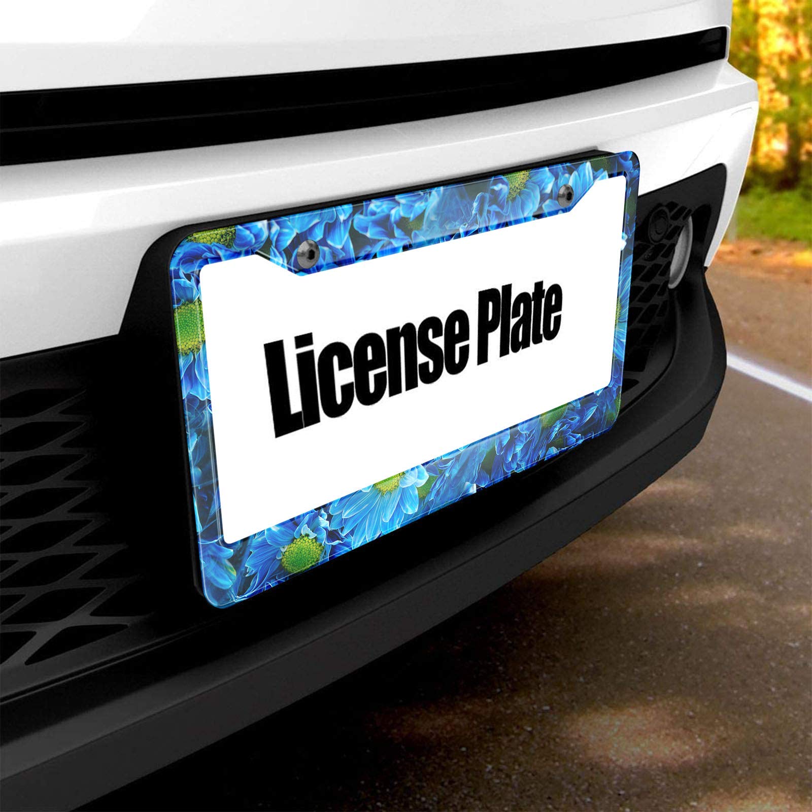 HOSNYE Blue Chrysanthemum License Plate Frame Macro Beautiful Flower Bush Metal License Plate Cover Front Plates Frames Car Tag