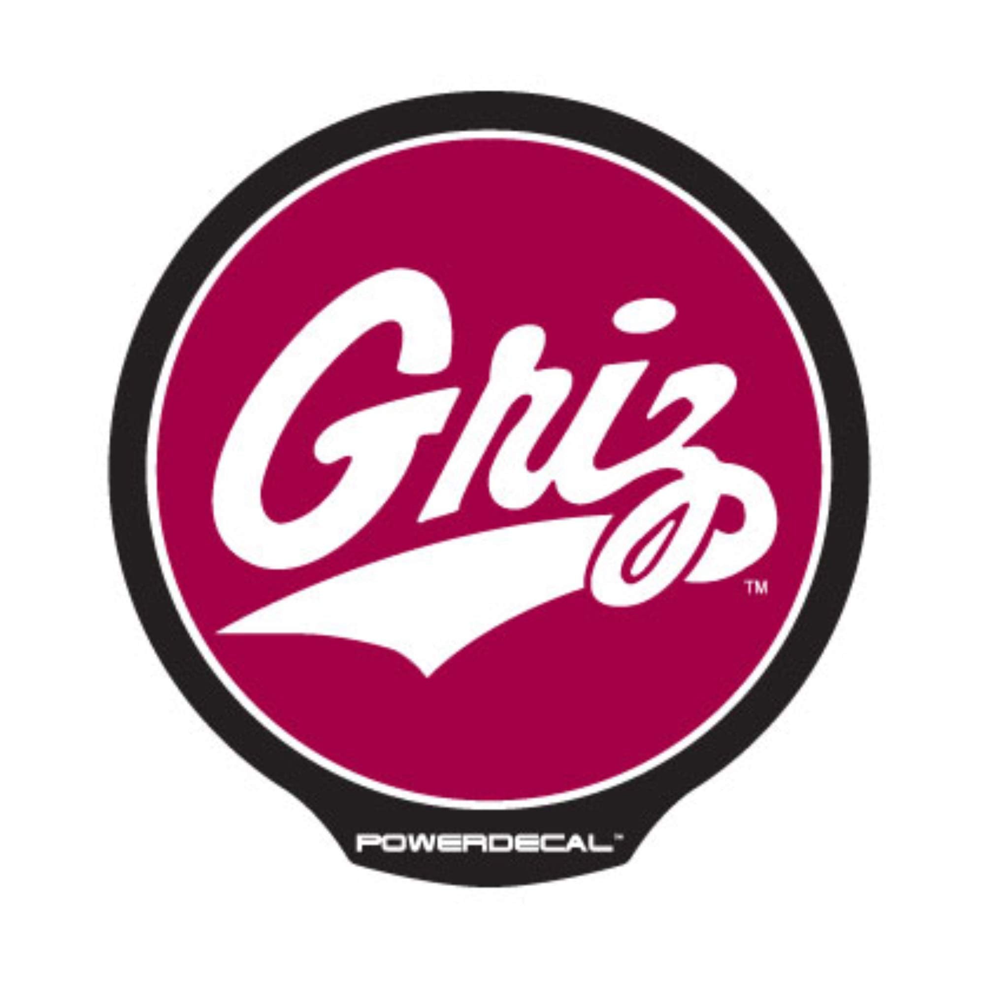 Rico Axiz Group Pwr490501 Montana Power Decal