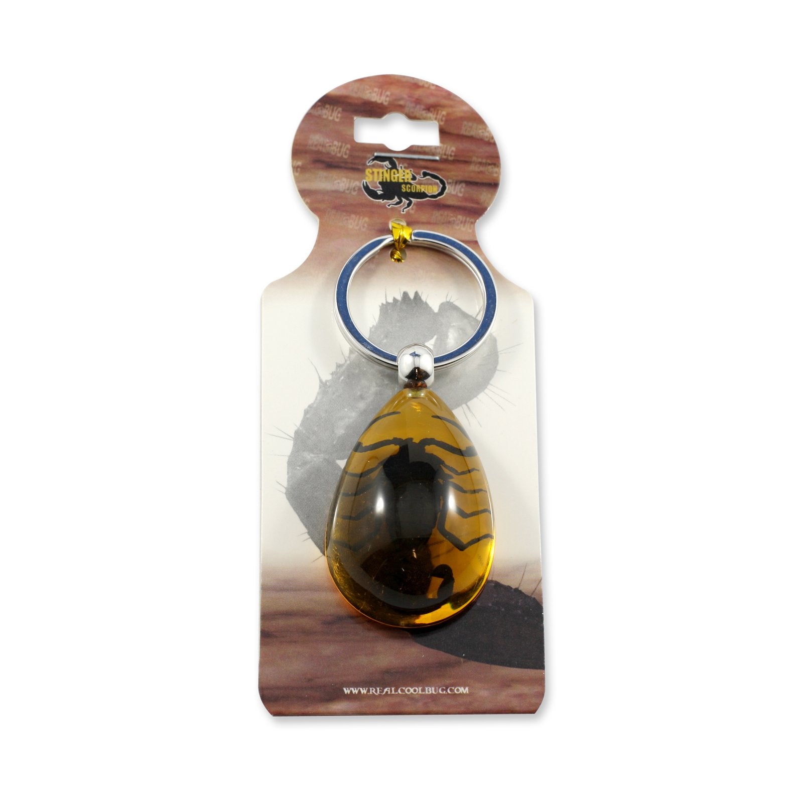 Black Scorpion Key Chain Tear Drop Amber