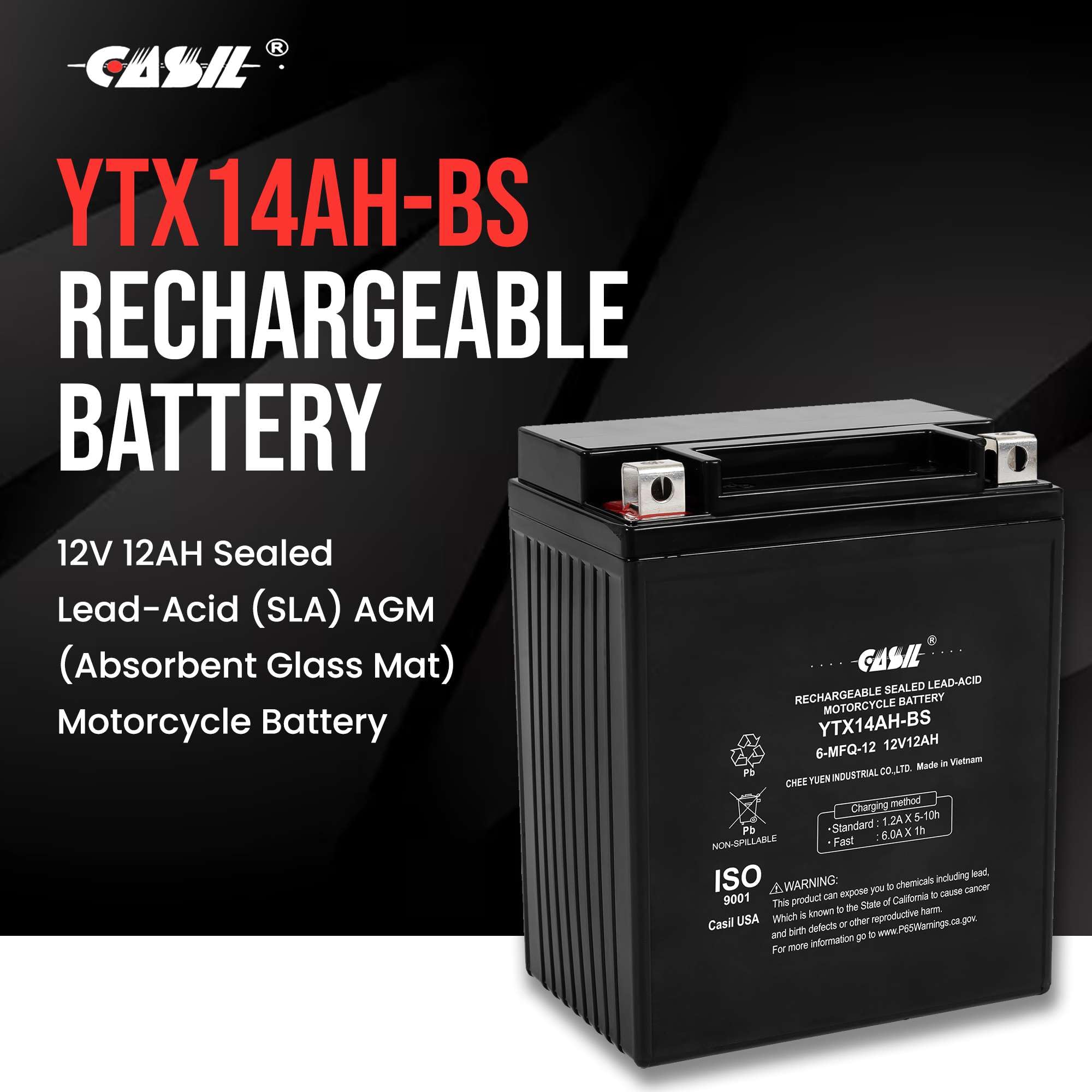 Ytx14Ah - 12 Volt 12Ah 210 Cca - High Performance Maintenance Free Sla Agm Power Sport Battery - Casil Battery, Ytx14Ah-Bs