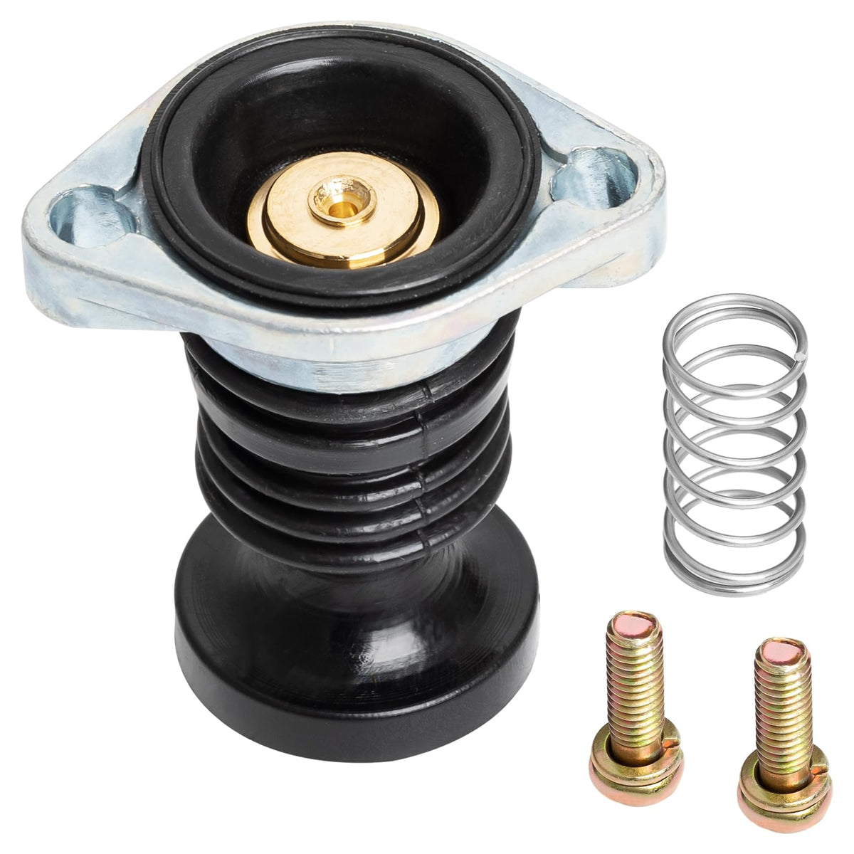 Luxlead Carburetor Carb Primer Pump Spring Screw Kit Compatible With Hon-Da Atv Trx300 Trx350 Trx400 Trx450 Trx500 Trx650 Rancher Fourtrax Foreman Kawasaki, Replaces Oem # 16048-Hm7-700