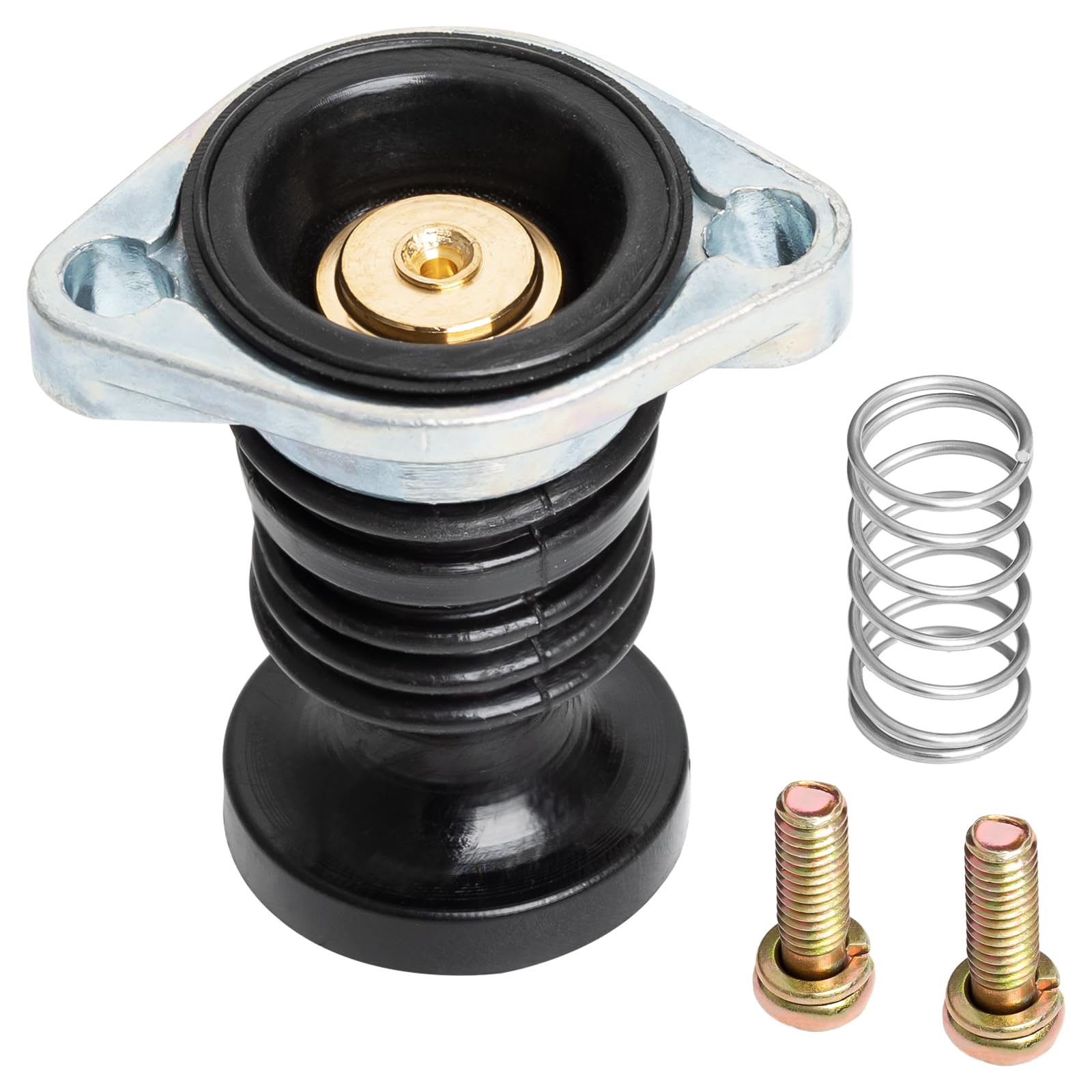 luxlead Carburetor Carb Primer Pump Spring Screw Kit Compatible with Honda ATV TRX300 TRX350 TRX400 TRX450 TRX500 TRX650 Rancher