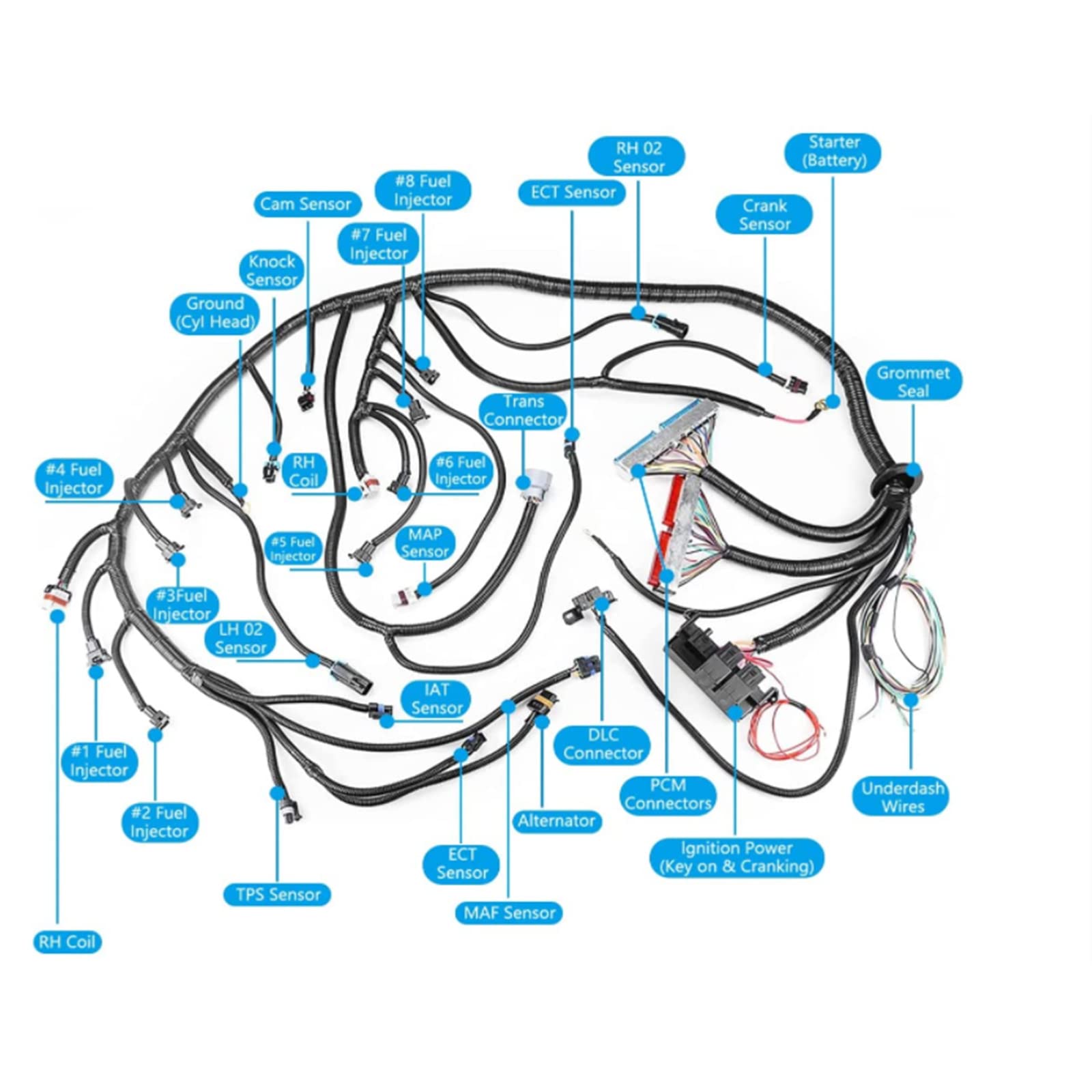 5.3 Wiring Harness ls Engine Wiring Harness Compatible with 1999-2006 DBC LS1 4.8 5.3 6.0 Vortec Drive by Cable 4L60E, with Wiri