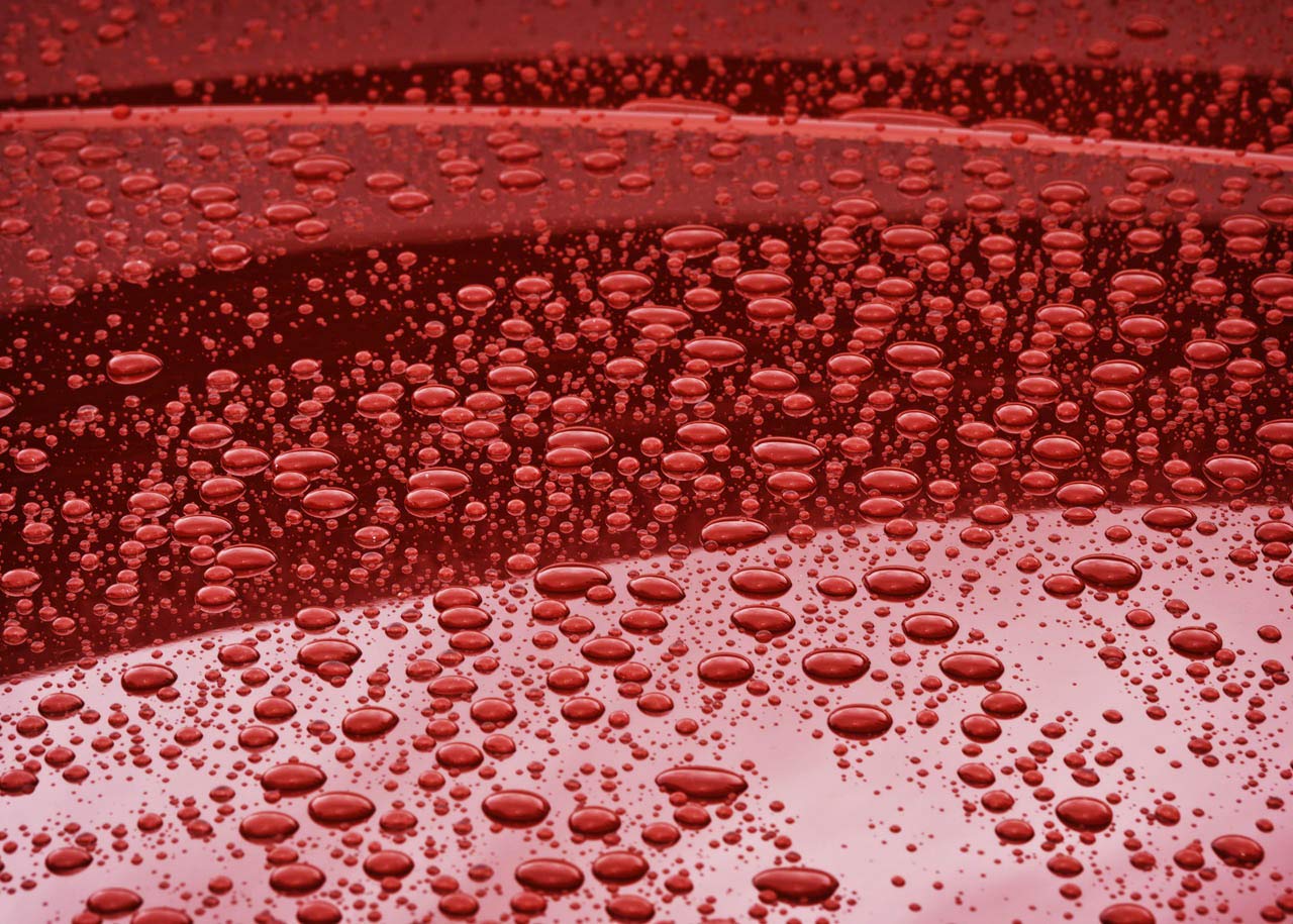 Carpro Cube Box Sampler - 16 Products In 50Ml Sizes - Reload, Ironx, Reset, Bug-Out, Ech2O, Elixir, Perl, Tarx, Inside, Trix, Spotless, Multi X, Fogfight, Hydroo2, Eraser