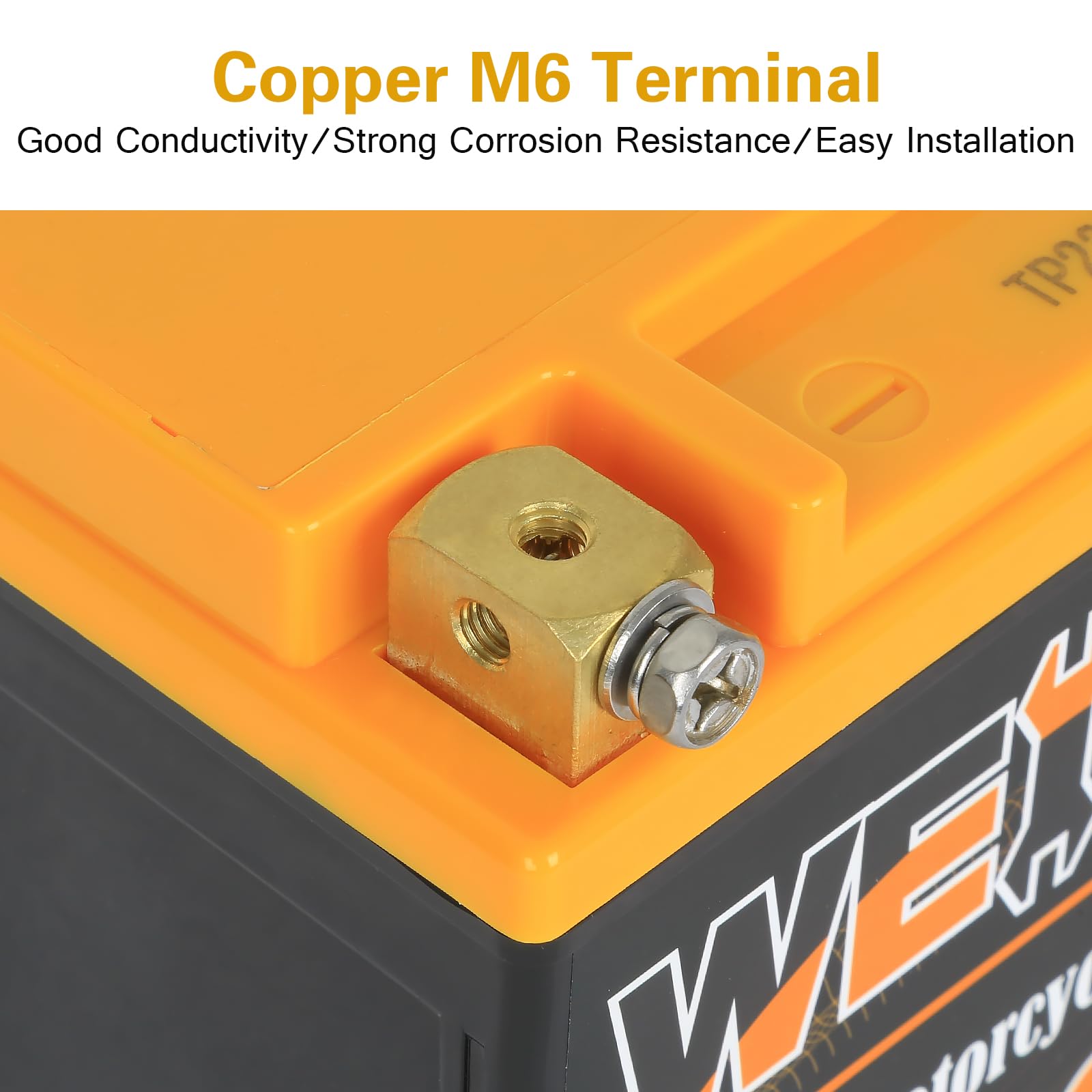 Weize Lithium Ytx20L-Bs, Group 20, 600A Lifepo4 Motorcycle Battery, 12V 8Ah Atv, Utv, Jet Ski, 4 Wheeler, Snowmobile, Personal W