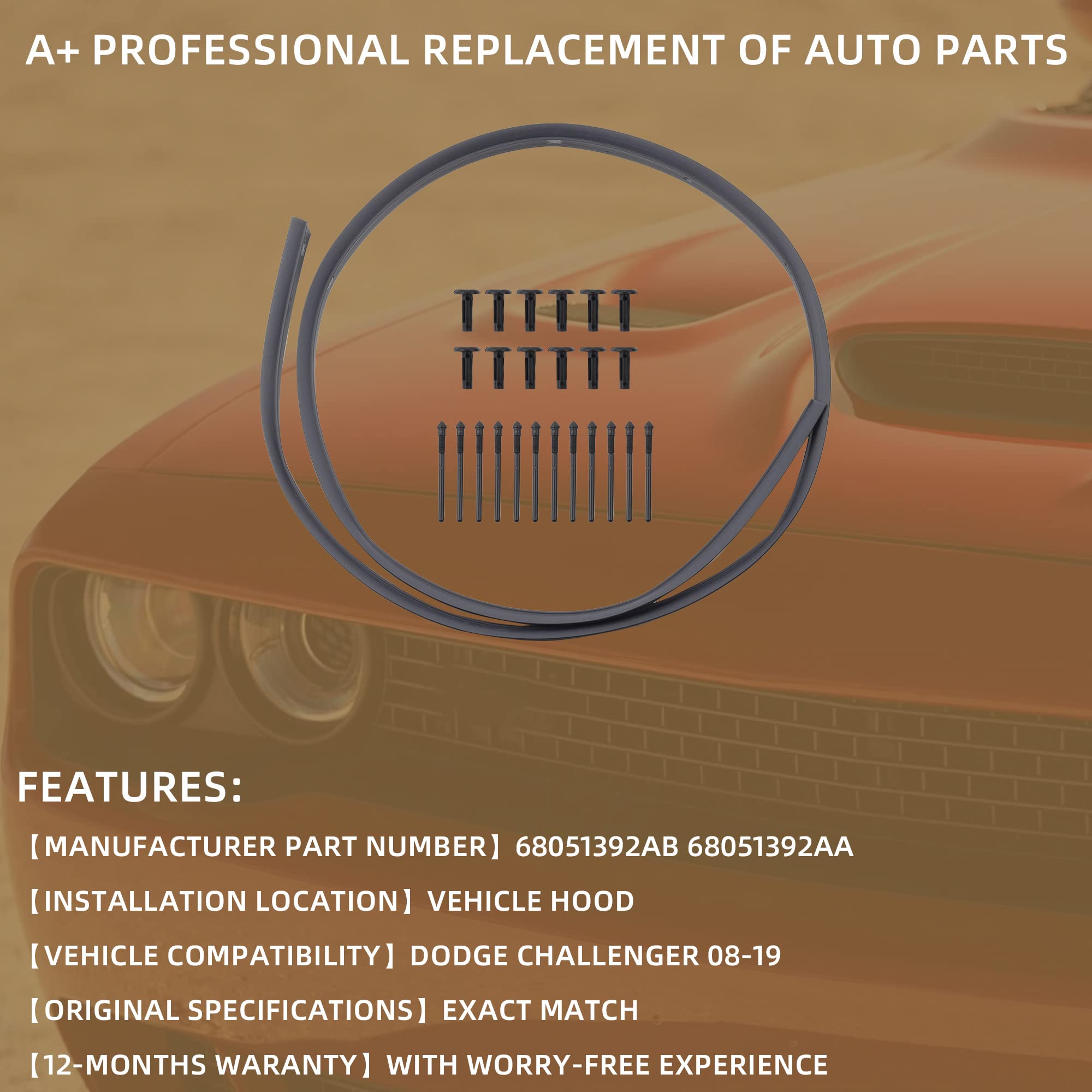 Dasbecan Front Bumper Hood Seal Rivets Compatible With 2008-2019 Dodge Challenger Replaces# 68051392Ab 68051392Aa