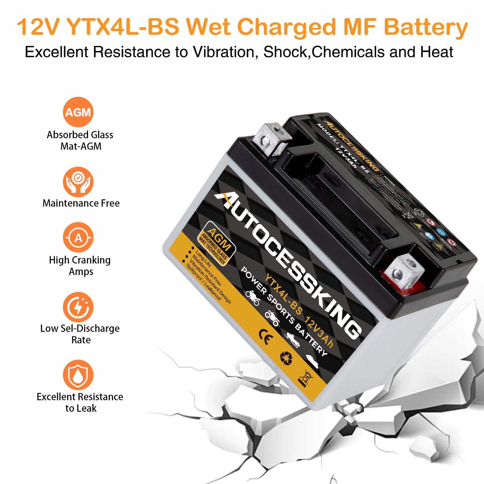 Autocessking Ytx4L-Bs Motorcycle Battery, 12V 3Ah Rechargeable Maintenance Free Sealed Agm Battery Powersport Replacement Batter