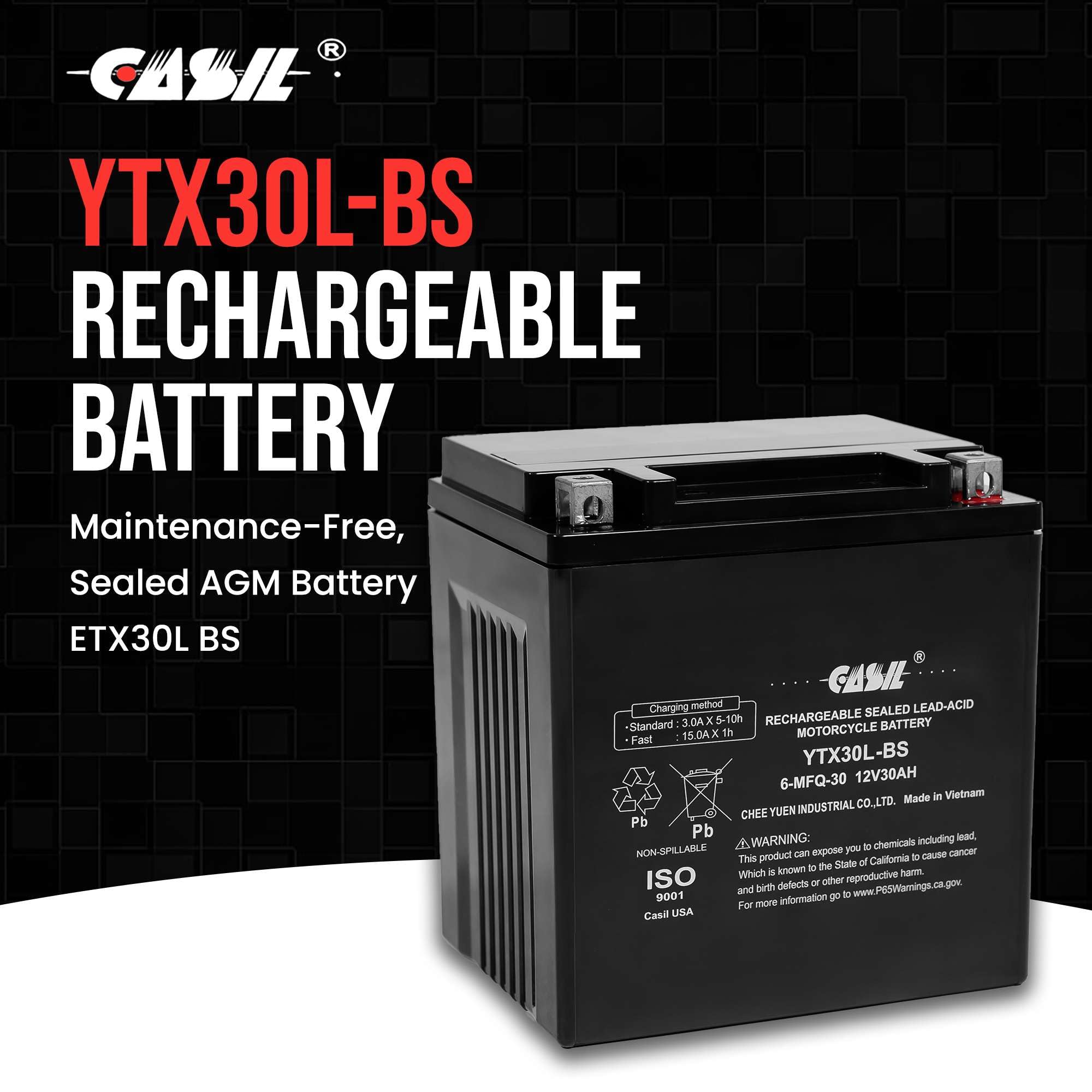 Casil Ytx30L-Bs Power Sports Replacement Yuasa Yix30L Motorcycle Battery - Maintenance Free - Sealed Agm Battery Etx30L Bs