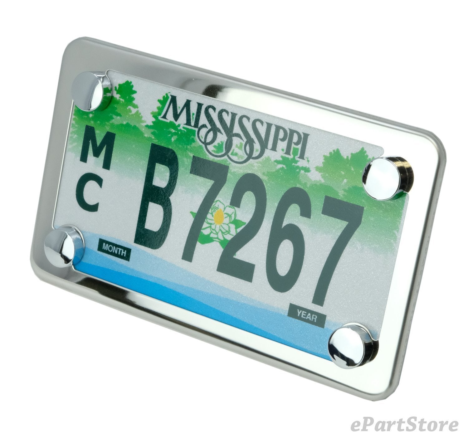 Lfparts Motorcycle Stainless Steel License Plate Frame + Motorcycle License Backing Plate Set