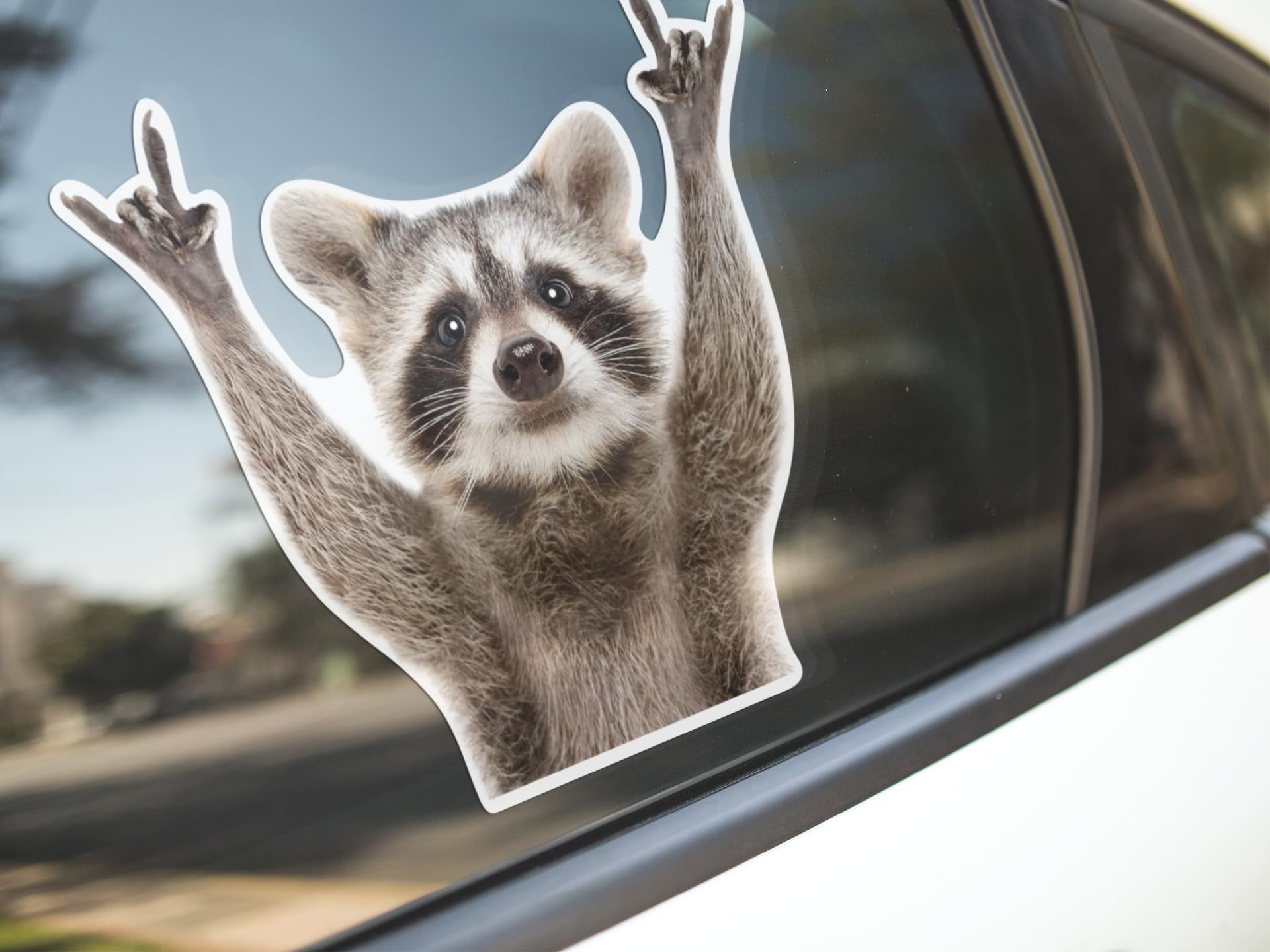 Rocking Raccoon Sticker, Funny Raccoon Cute Car Decal 5.5-Inches Decal Car Laptop Wall Window Bumper Sticker AWPS109