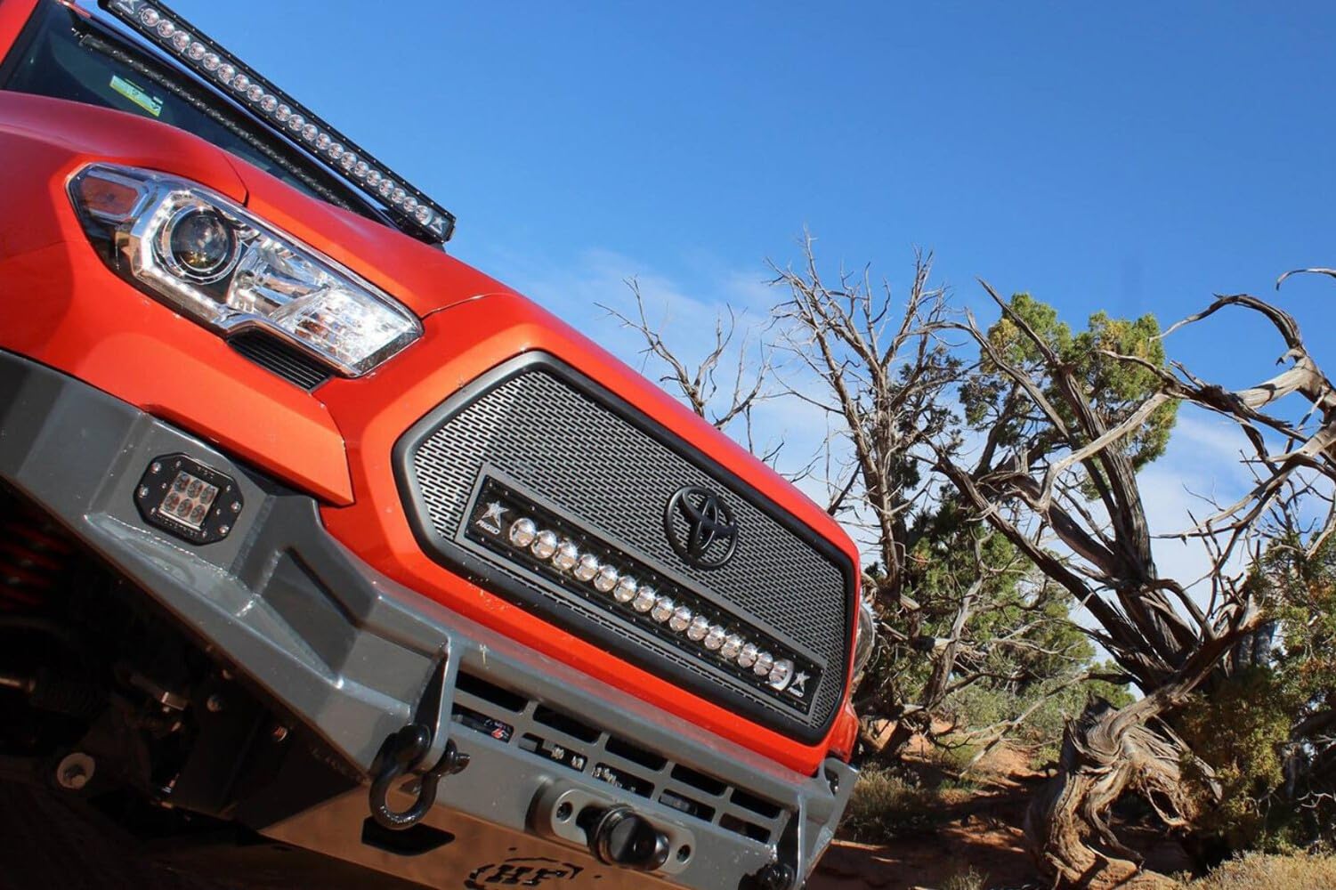 D-Series Pro Driving Fm /2