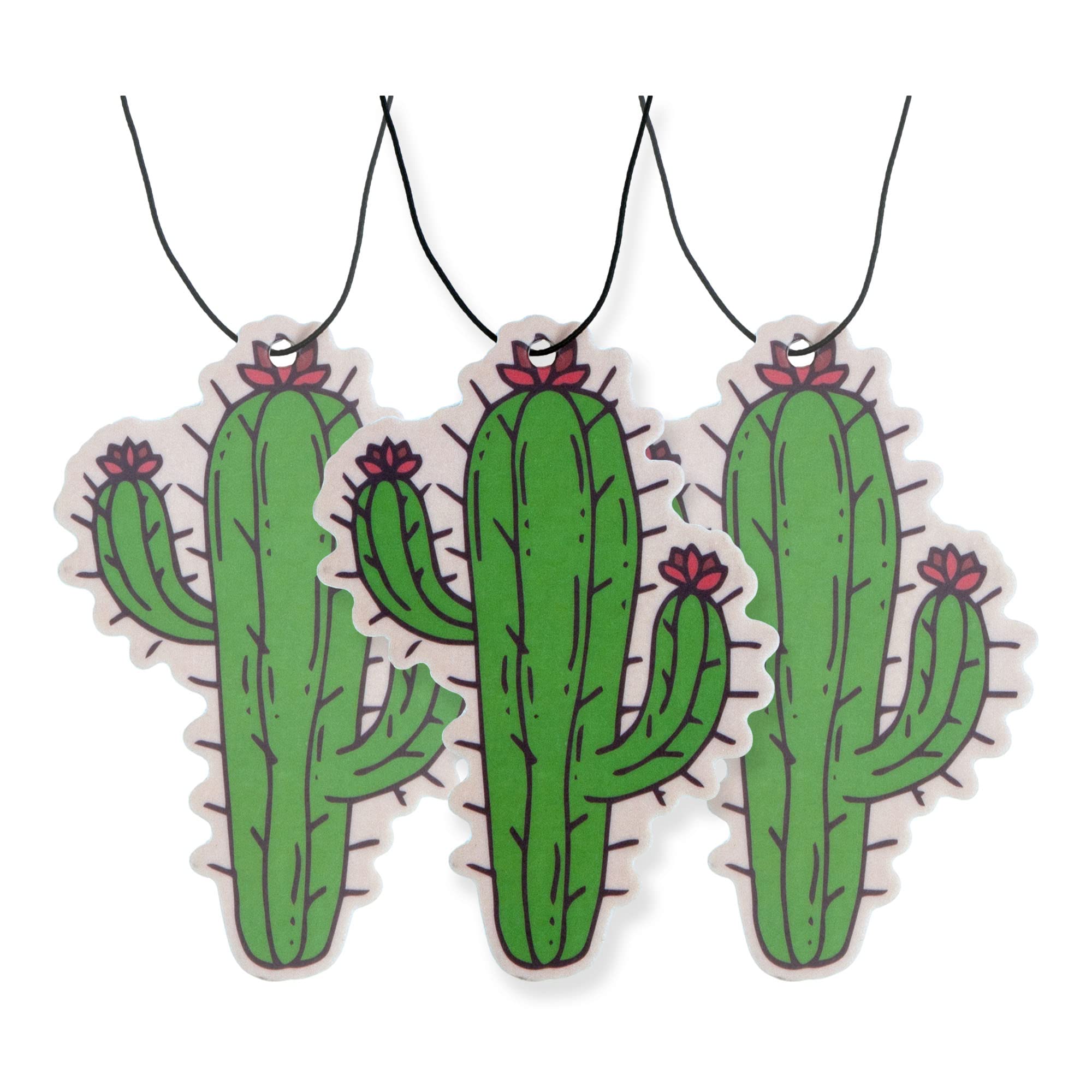 Cute Cactus Car Air Freshener 3 Pack Scented With Essential Oils (3 Pack)