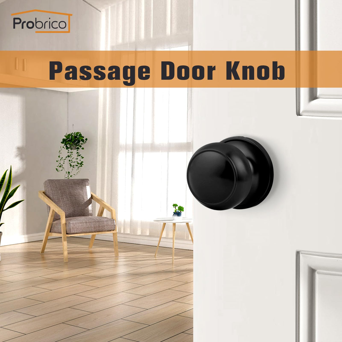 Probrico Hall/Closet Door Knobs in Flat Black Finish,Interior Passage Door Knobs WBHDWB09GFFQLGG