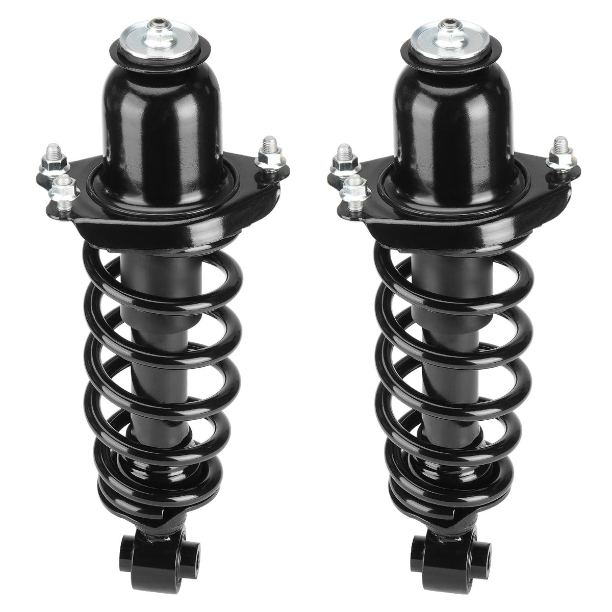 Rear Strut Shock Assembly w/Coil Spring Compatible with Scion tC 2005-2010, Replace 172400L 172400R, Left & Right, 2PCS