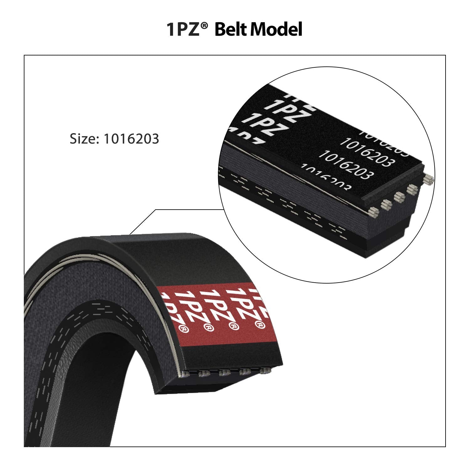 1PZ V1P-DS1 Clutch Starter Generator Belt & Drive Belt kit Replacement for Club Car DS 1997-Up & Precedent 2004-Up Golf Cart 101