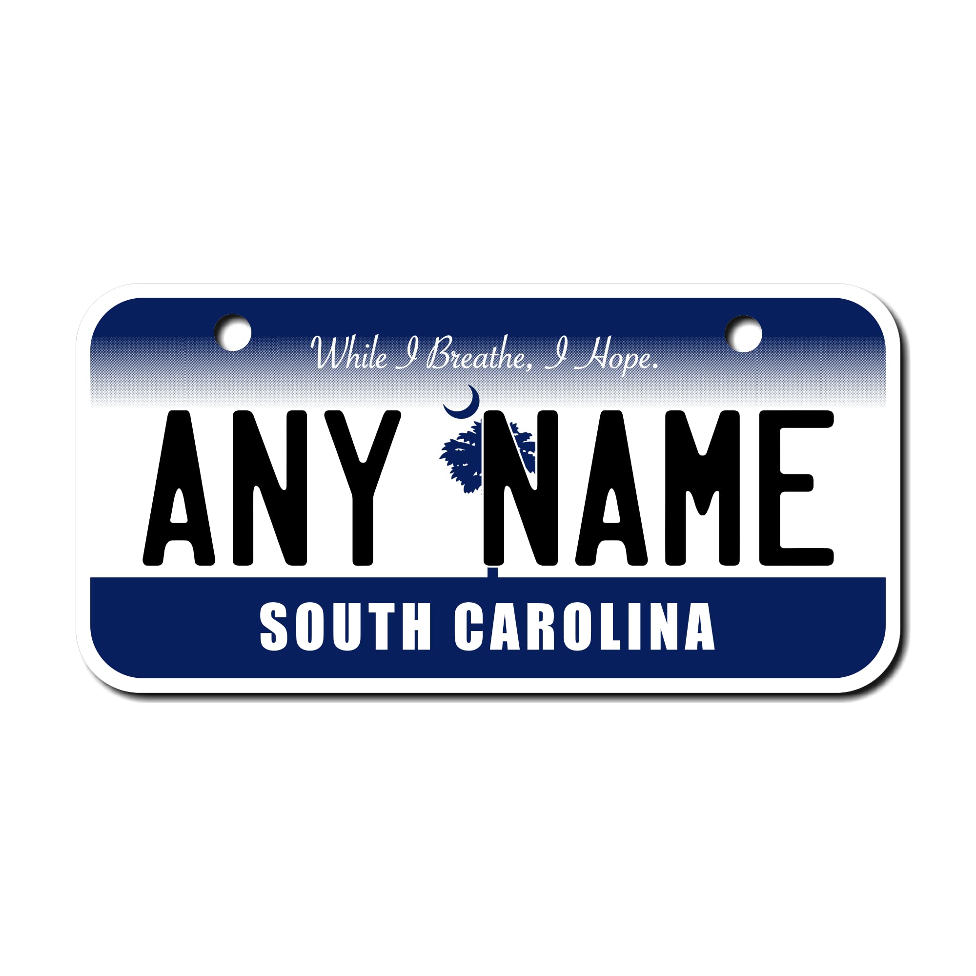 Teamlogo Personalized South Carolina License Plate - Sizes For Kid 'S Bikes, Cars, Trucks, Cart, Key Rings Version 4 (3 X 6 Alum