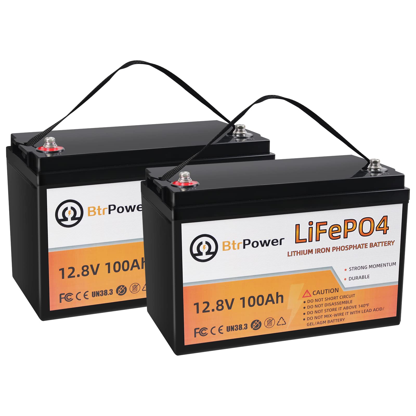 2 Pack 12V 100Ah Lithium LiFePO4 Deep Cycle Rechargeable Battery,Built-in 100A BMS,5000 Life Cycles, Perfect for RV, Solar, Mari