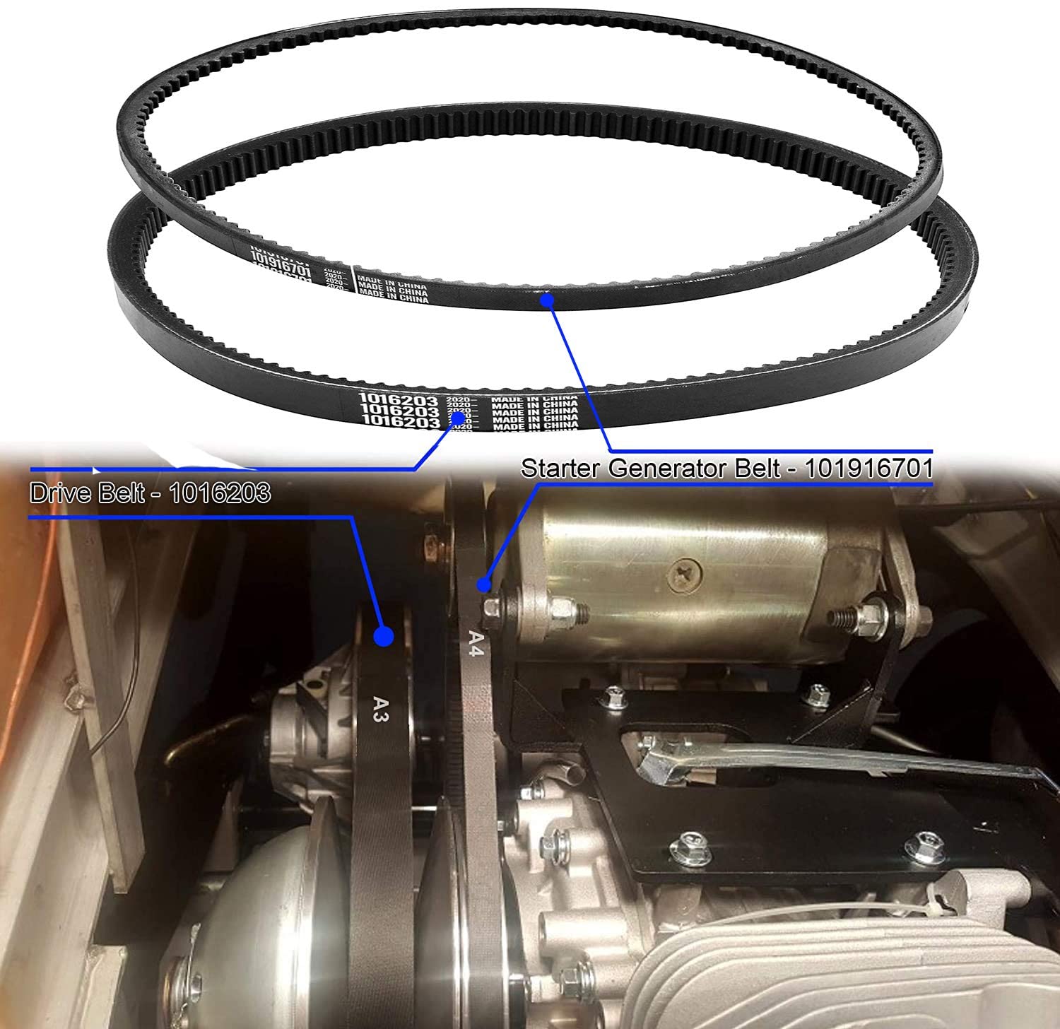 Roykaw Club Car Ds Precedent Drive Belt And Starter Generator Belt Kit Fit Golf Cart Ds 1997-Up And Precedent 2004-Up, Replace 1