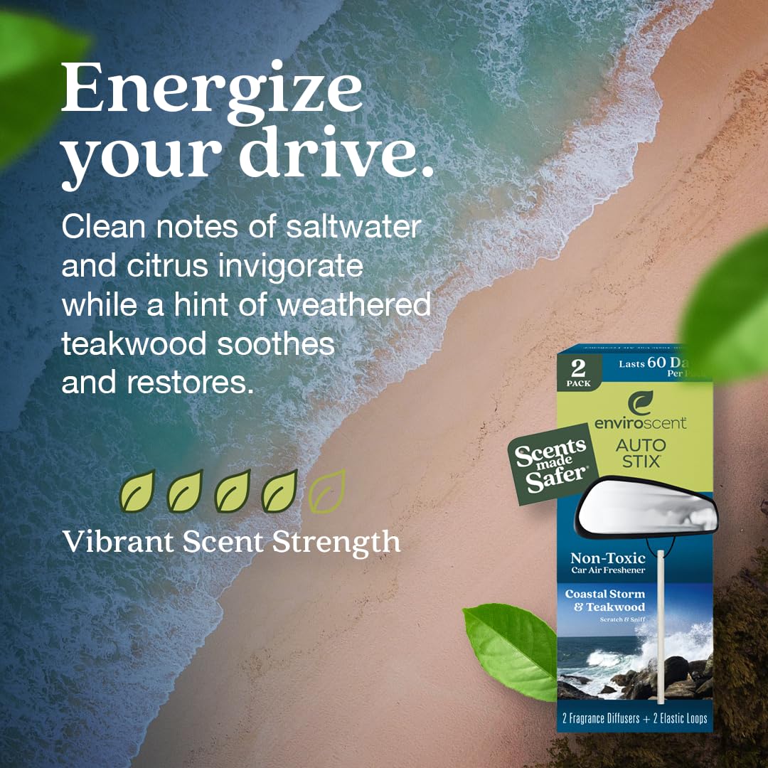 Enviroscent Non-Toxic Car Air Freshener (Coastal Storm & Teakwood) Natural Car Air Freshener | Essential Oil Diffuser | Car Scen