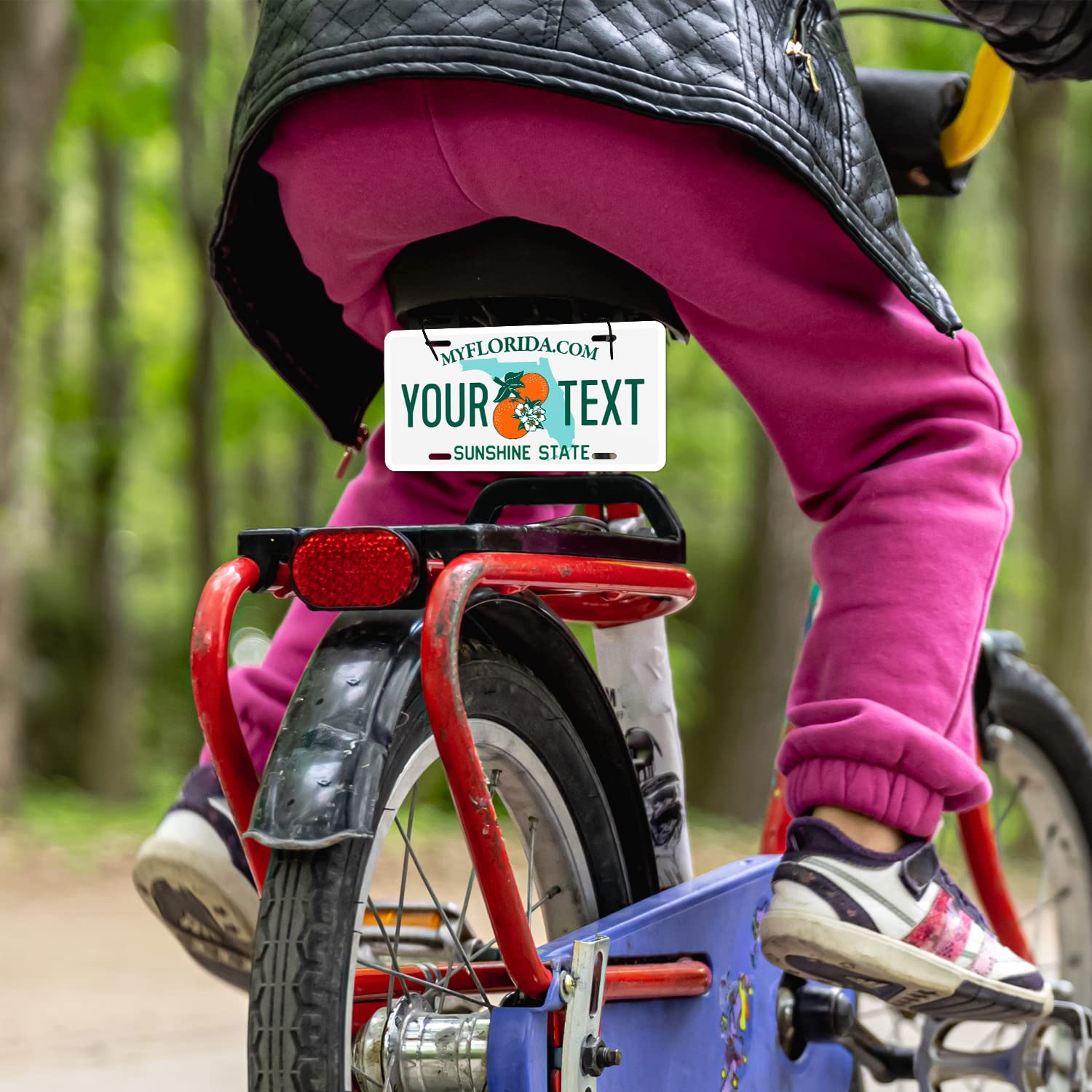 Custom Florida, Mini License Plate, Personalized 50 States Fake License Plate For Front Of Car Sign, 3X6 Inches, Rust Free .040 Aluminum, Fade Resistant, Made In The Usa By Sigo Signs,