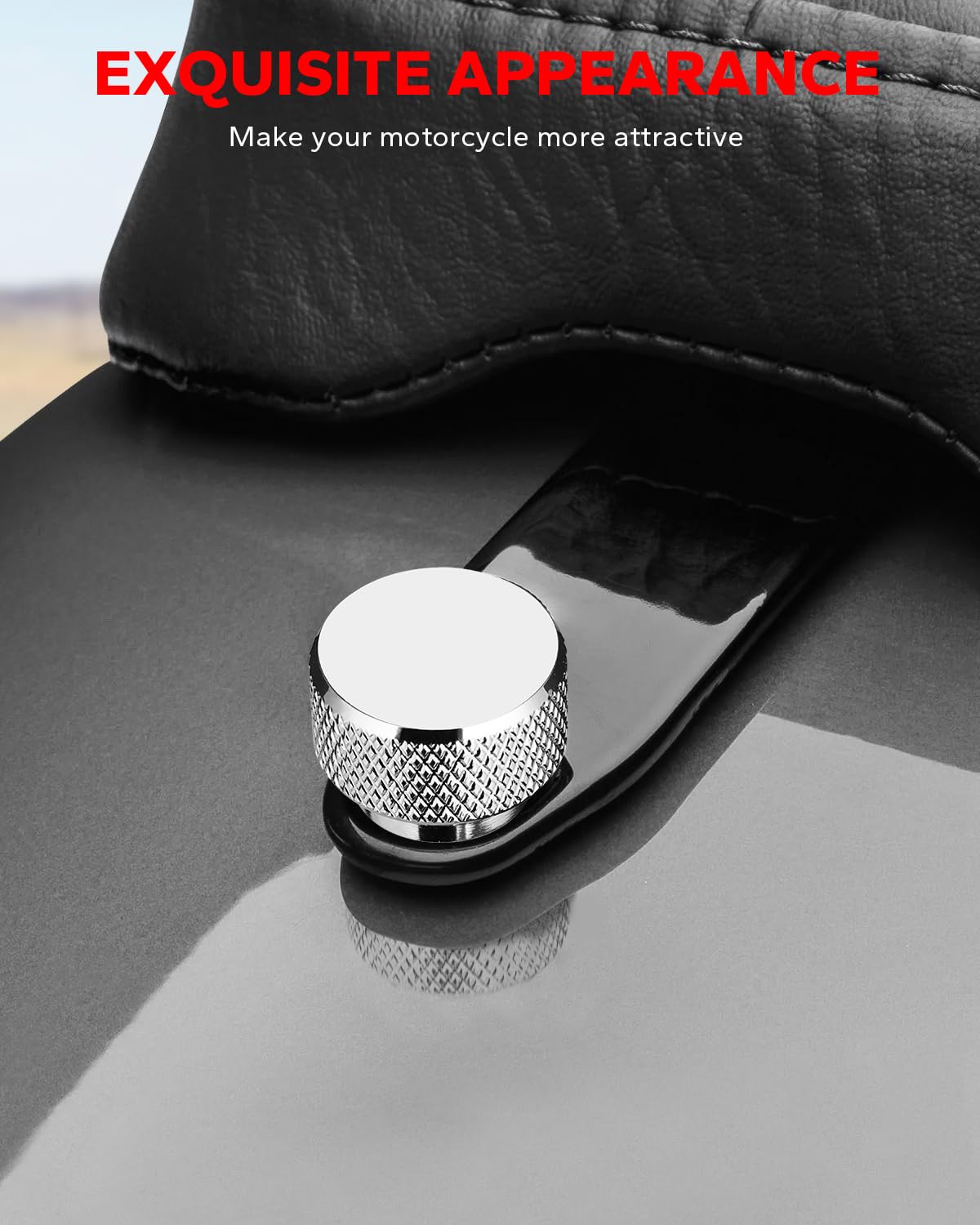 Amazicha Chrome Rear Fender Seat Bolt Stainless Steel Seat Screw Quick Mount Compatible for Harley Davidson Sportster Touring So