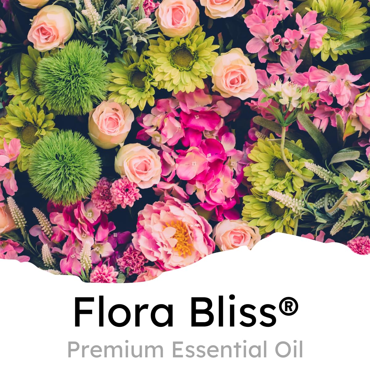 Air Jungles Flora Bliss Scent Car Air Freshener Clip, 6 Vent Clips, 4Ml Each, Long Lasting Air Freshener, Up To 180 Days Car Ref