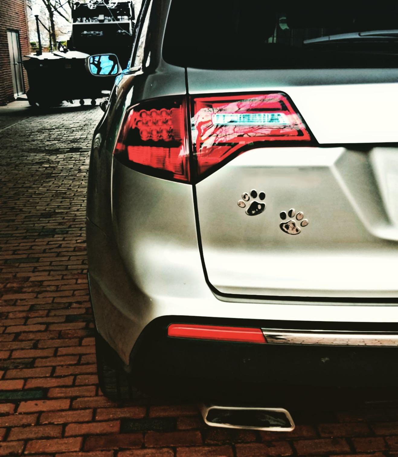 Lzlrun 3D Dog Paw Footprint Sticker Decal Auto Car Emblem Decal Decoration (Silver)